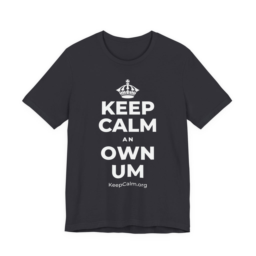 KEEP CALM AN OWN UM T-Shirt (Baby Blue–Silver)
