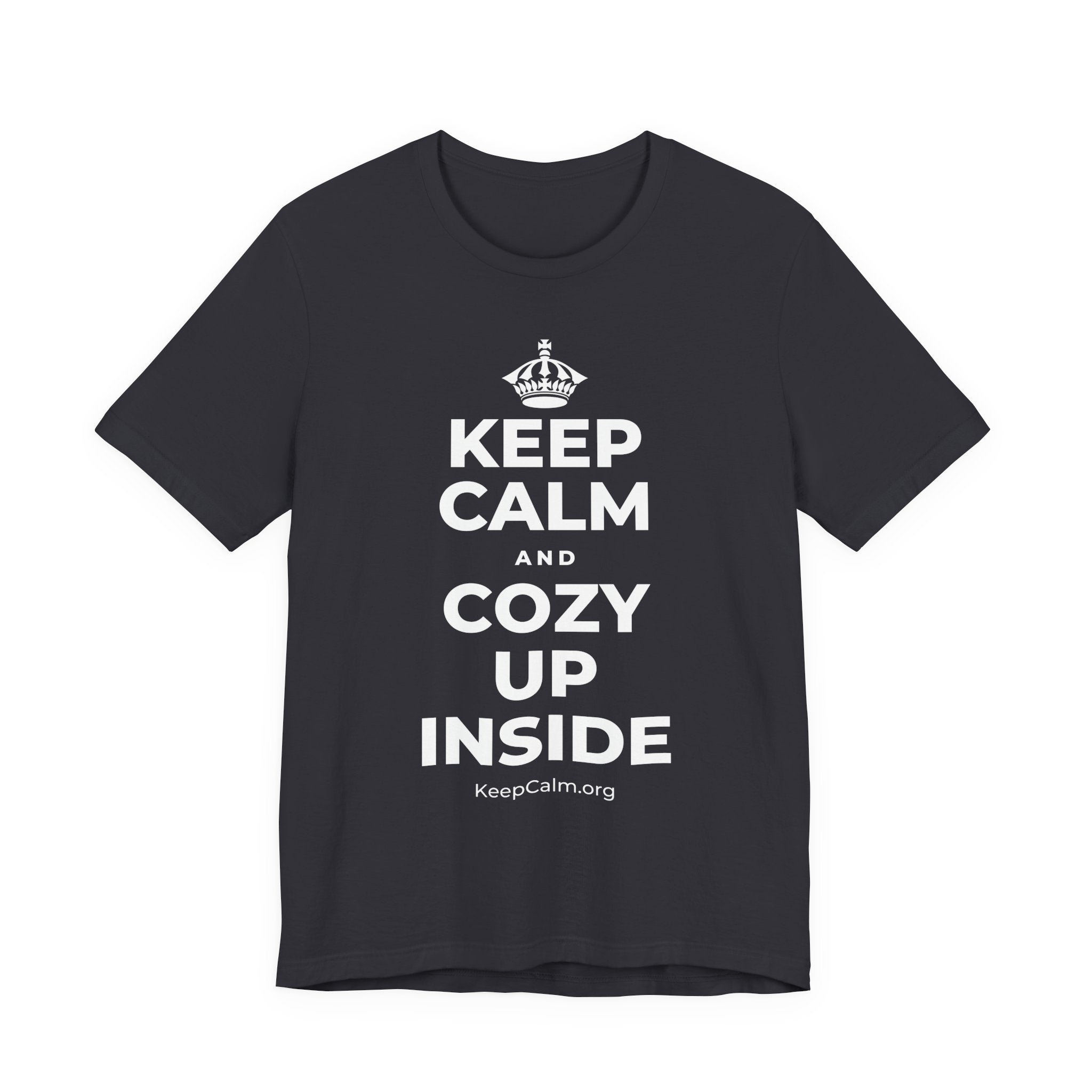 KEEP CALM AND COZY UP INSIDE T-Shirt (Baby Blue–Silver)