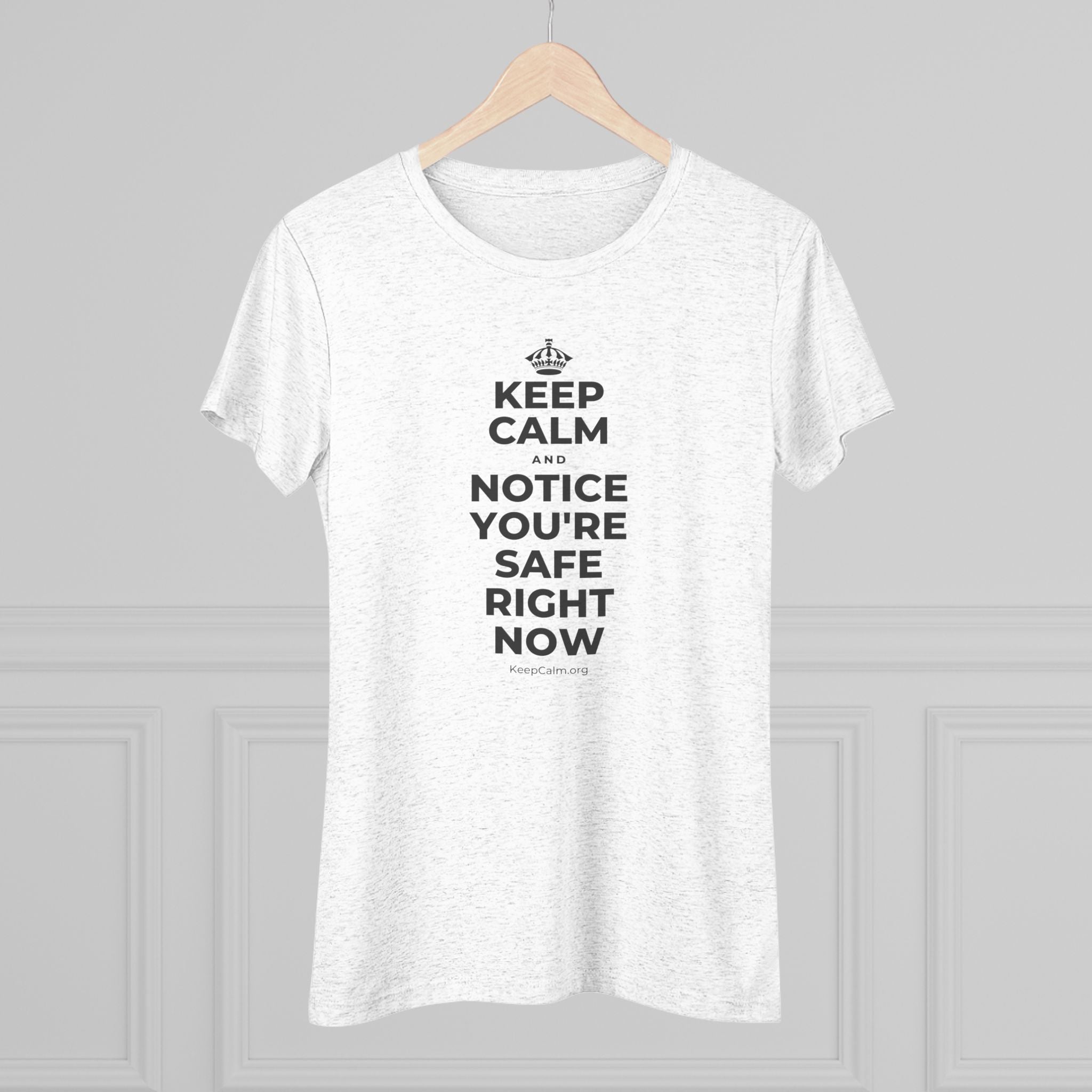 KEEP CALM AND NOTICE YOU'RE SAFE RIGHT NOW Women's Tri-Blend Tee