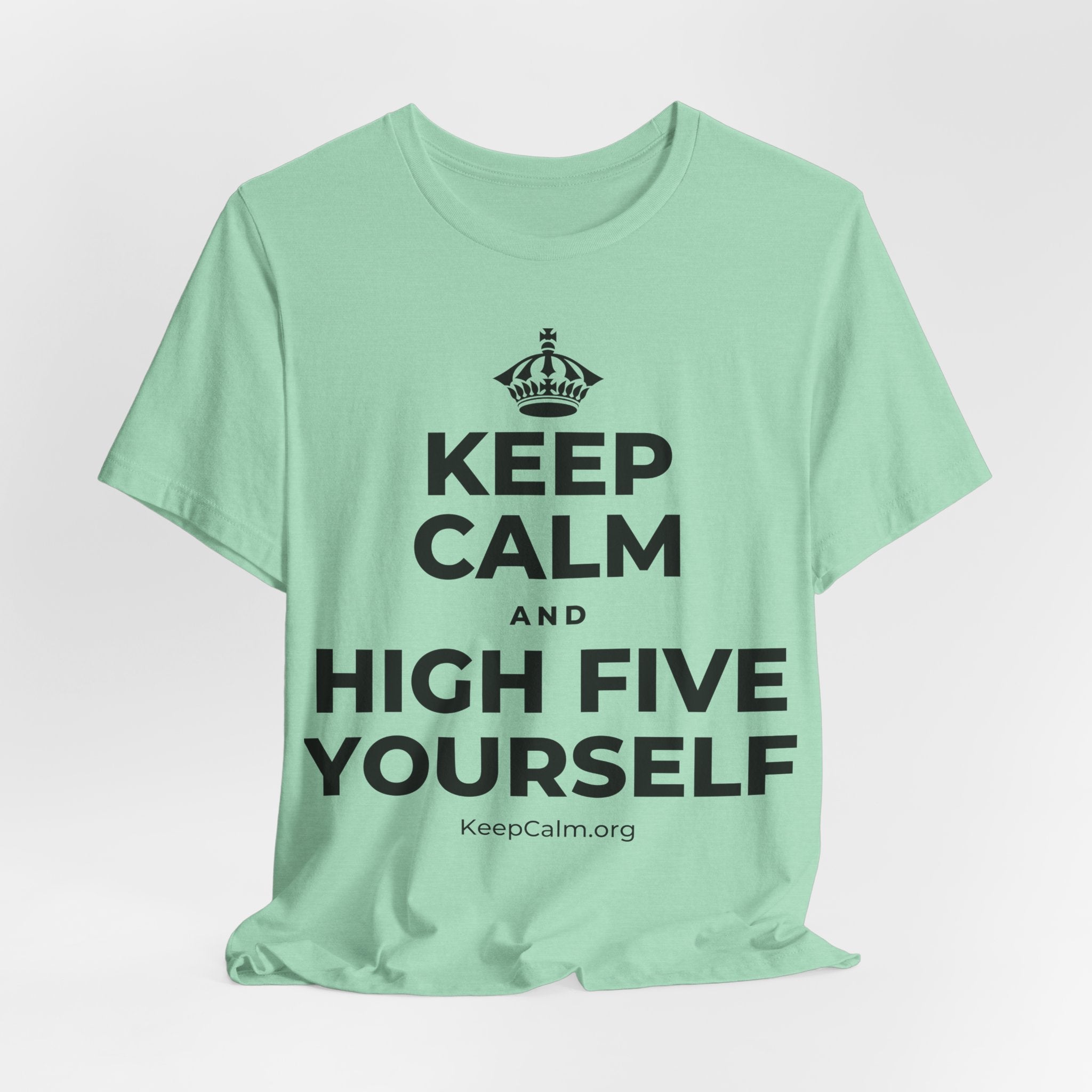 KEEP CALM AND HIGH FIVE YOURSELF T-Shirt (Baby Blue–Silver)