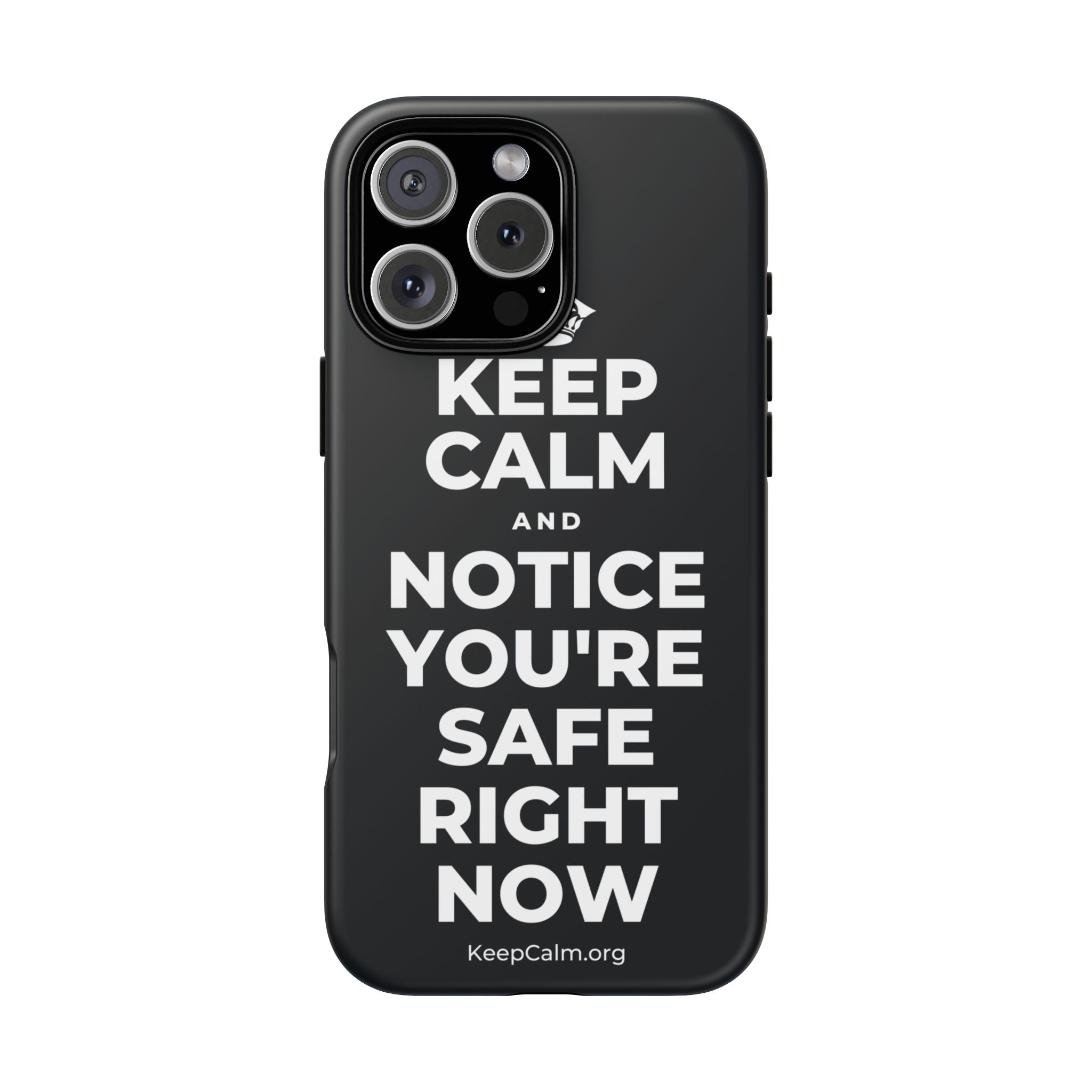 KEEP CALM AND NOTICE YOU'RE SAFE RIGHT NOW Phone Case (Dark)