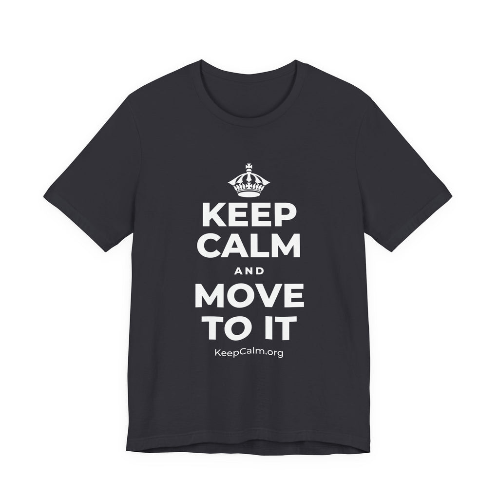 KEEP CALM AND MOVE TO IT T-Shirt (Baby Blue–Silver)