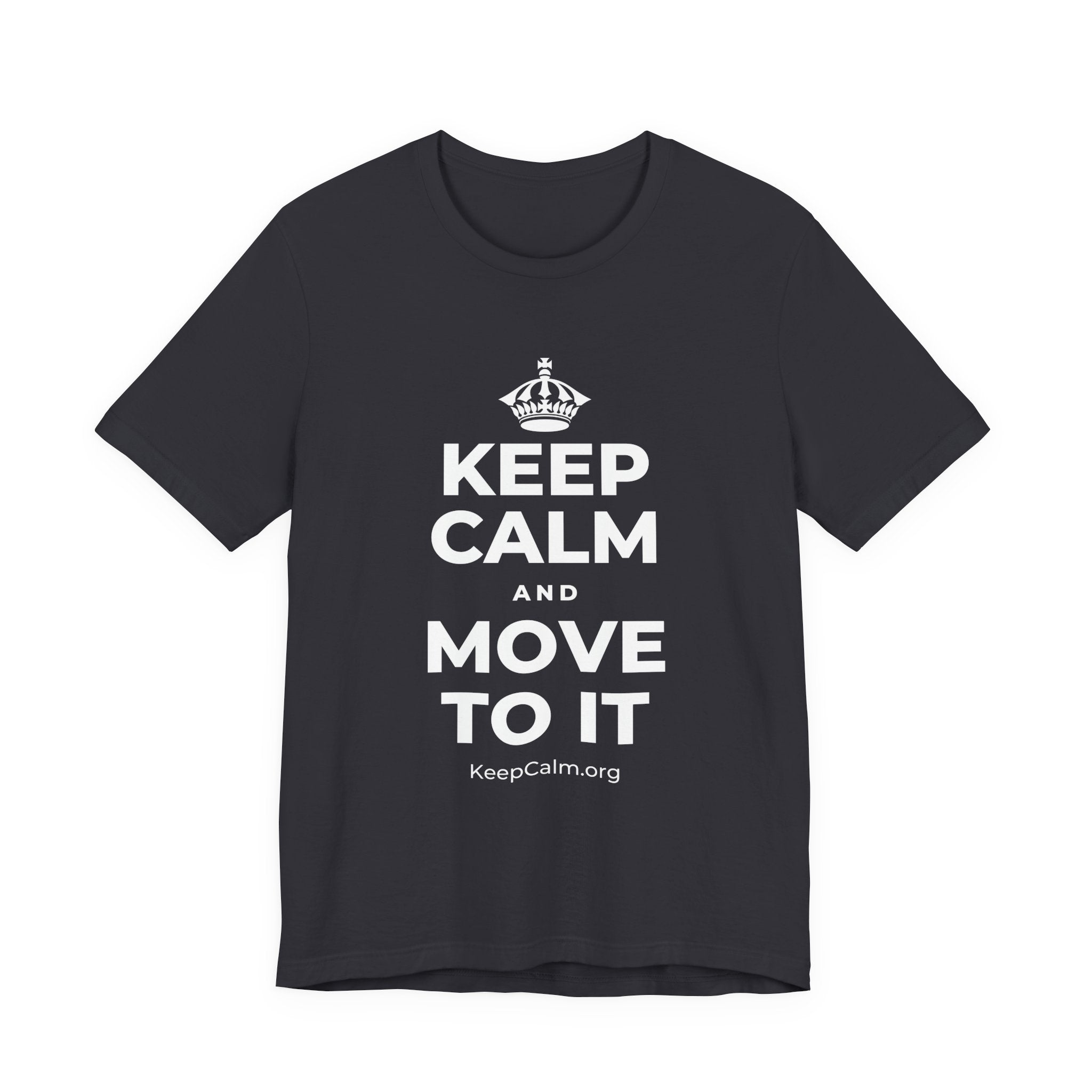 KEEP CALM AND MOVE TO IT T-Shirt (Baby Blue–Silver)