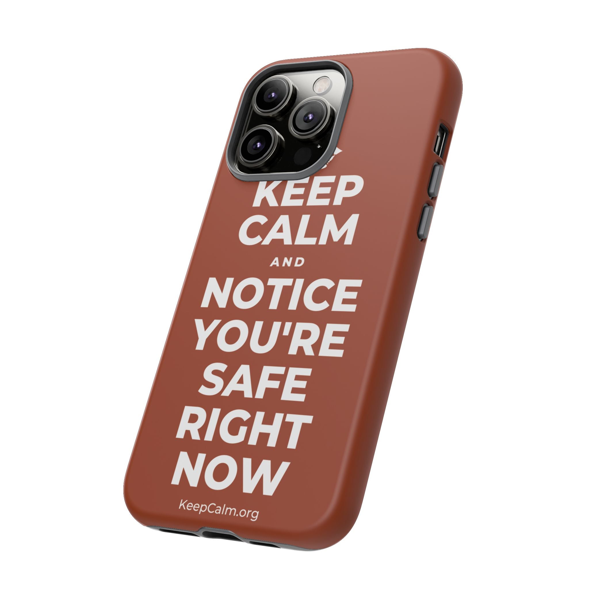 KEEP CALM AND NOTICE YOU'RE SAFE RIGHT NOW Phone Case