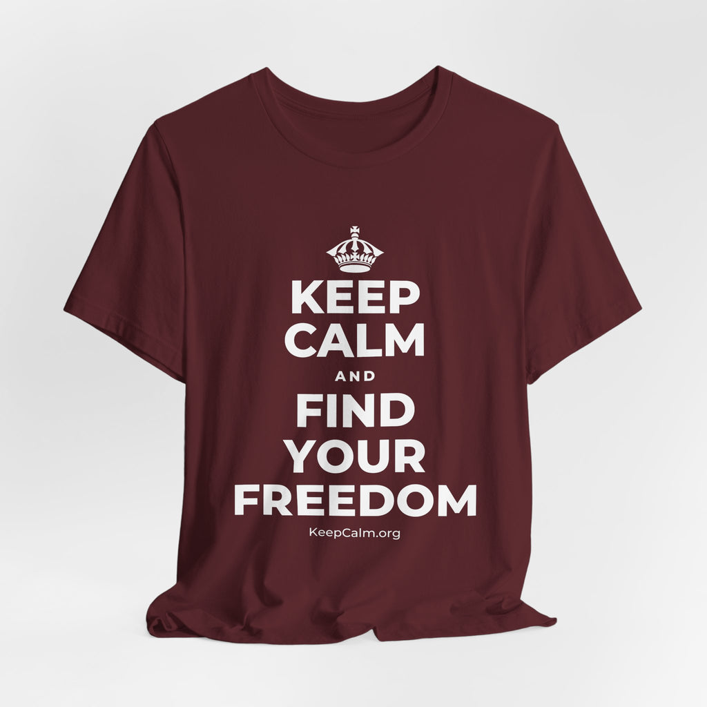 KEEP CALM AND FIND YOUR FREEDOM T-Shirt (Baby Blue–Silver)