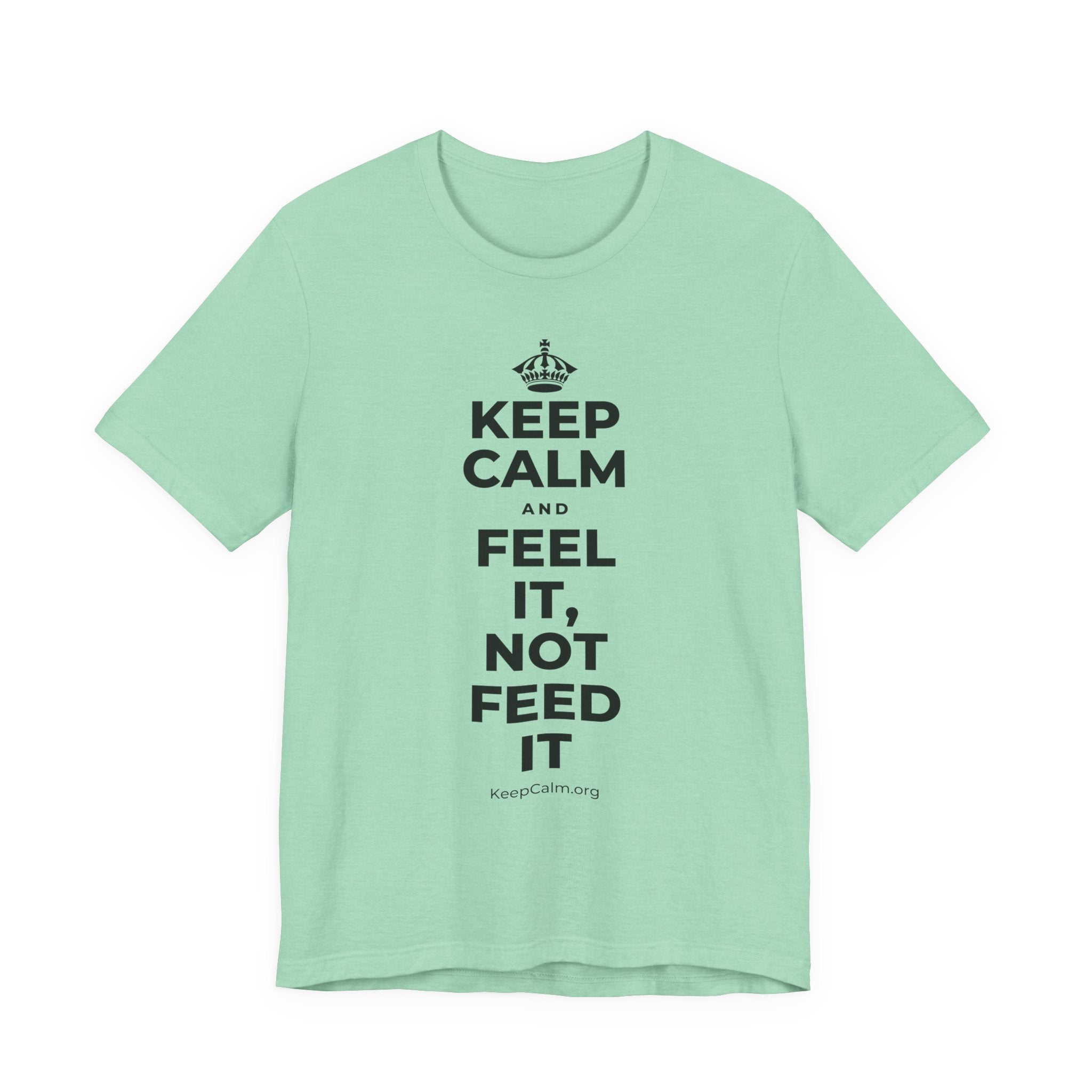 KEEP CALM AND FEEL IT, NOT FEED IT T-Shirt (Baby Blue–Silver)