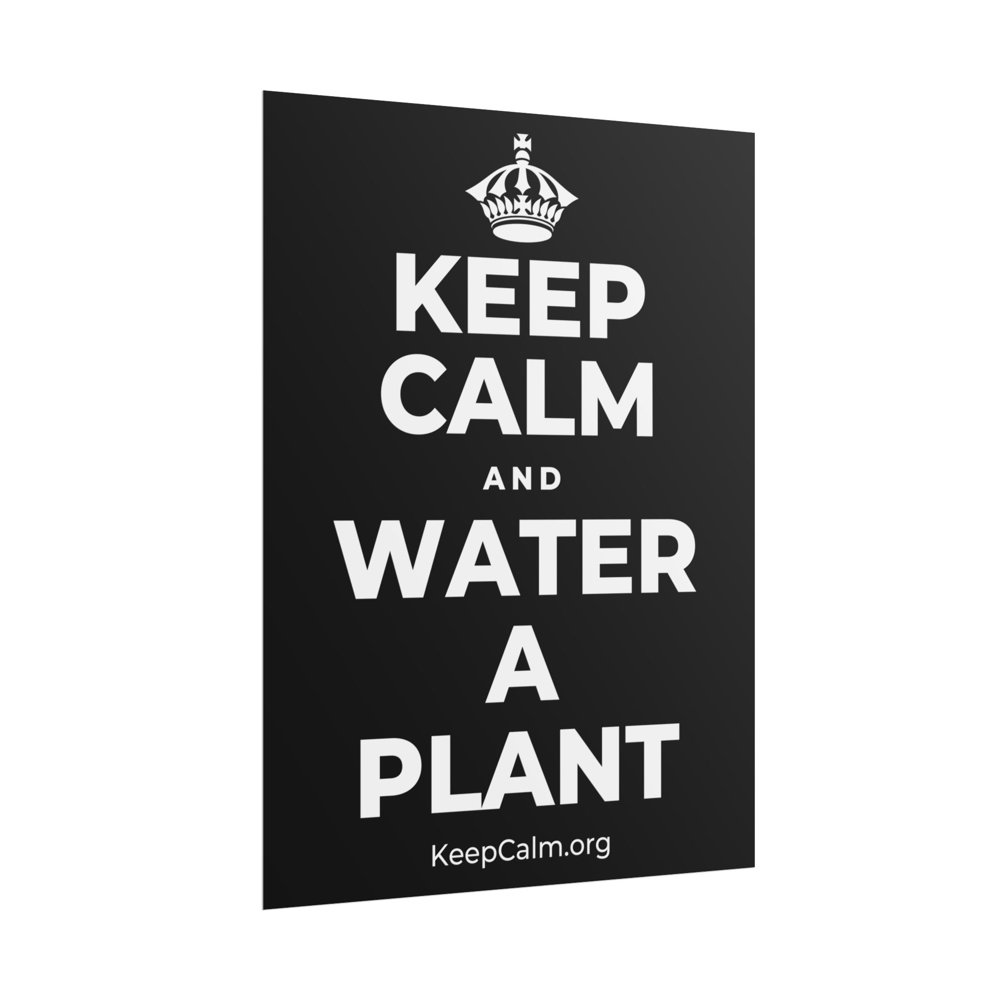 KEEP CALM AND WATER A PLANT Poster