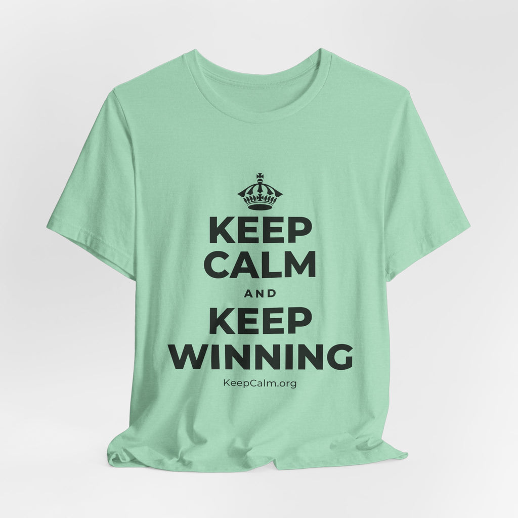 KEEP CALM AND KEEP WINNING T-Shirt (Baby Blue–Silver)