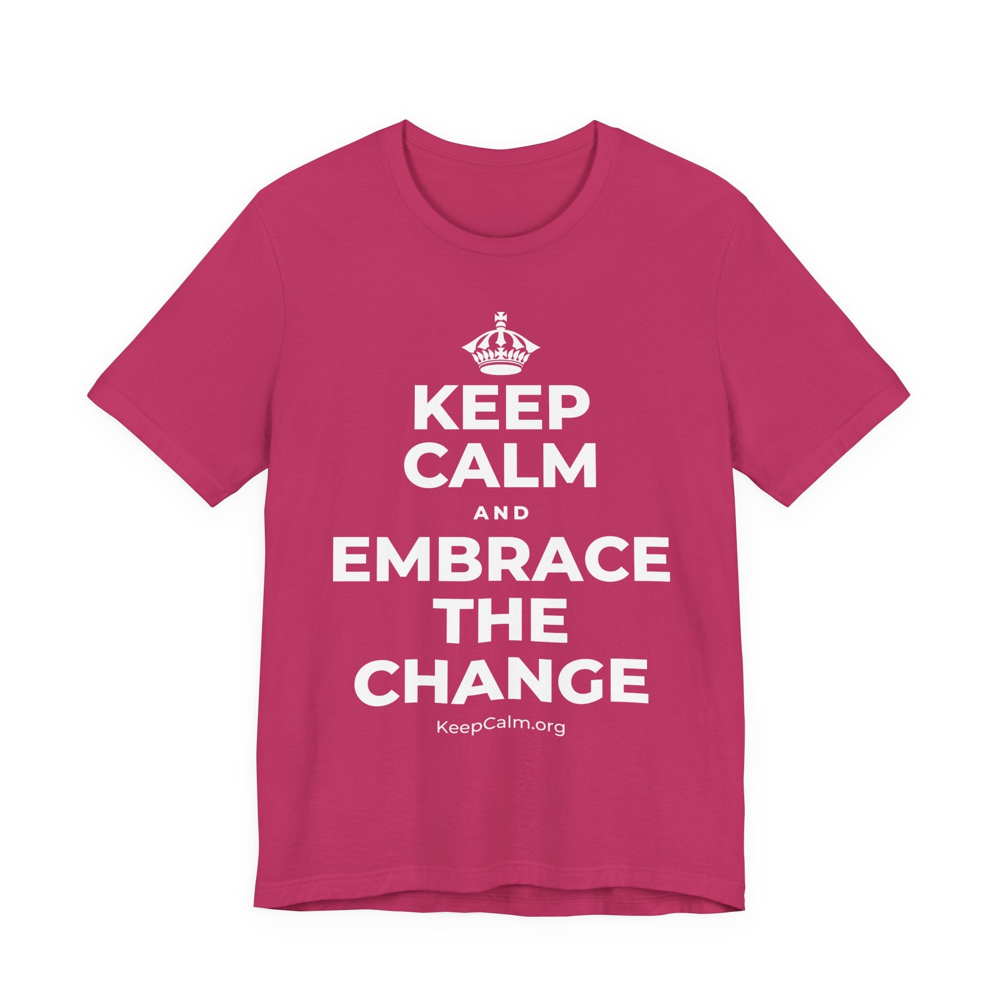 KEEP CALM AND EMBRACE THE CHANGE T-Shirt (Baby Blue–Silver)