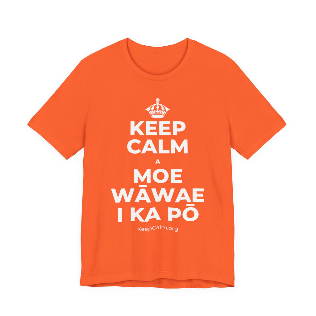 KEEP CALM A MOE WĀWAE I KA PŌ T-Shirt (Baby Blue–Silver)