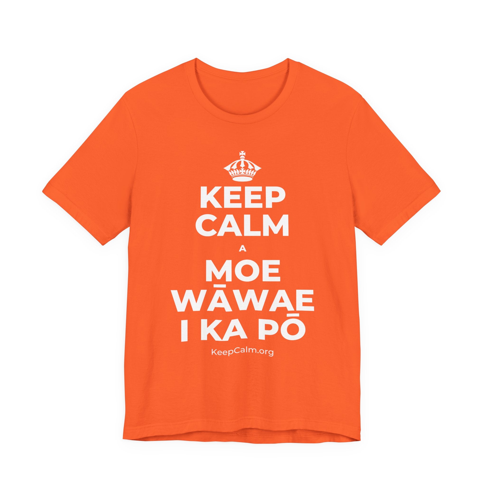 KEEP CALM A MOE WĀWAE I KA PŌ T-Shirt (Baby Blue–Silver)
