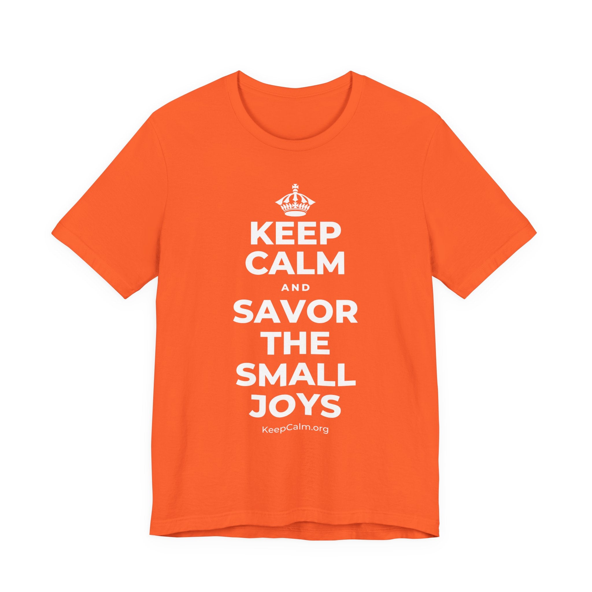 KEEP CALM AND SAVOR THE SMALL JOYS T-Shirt (Baby Blue–Silver)