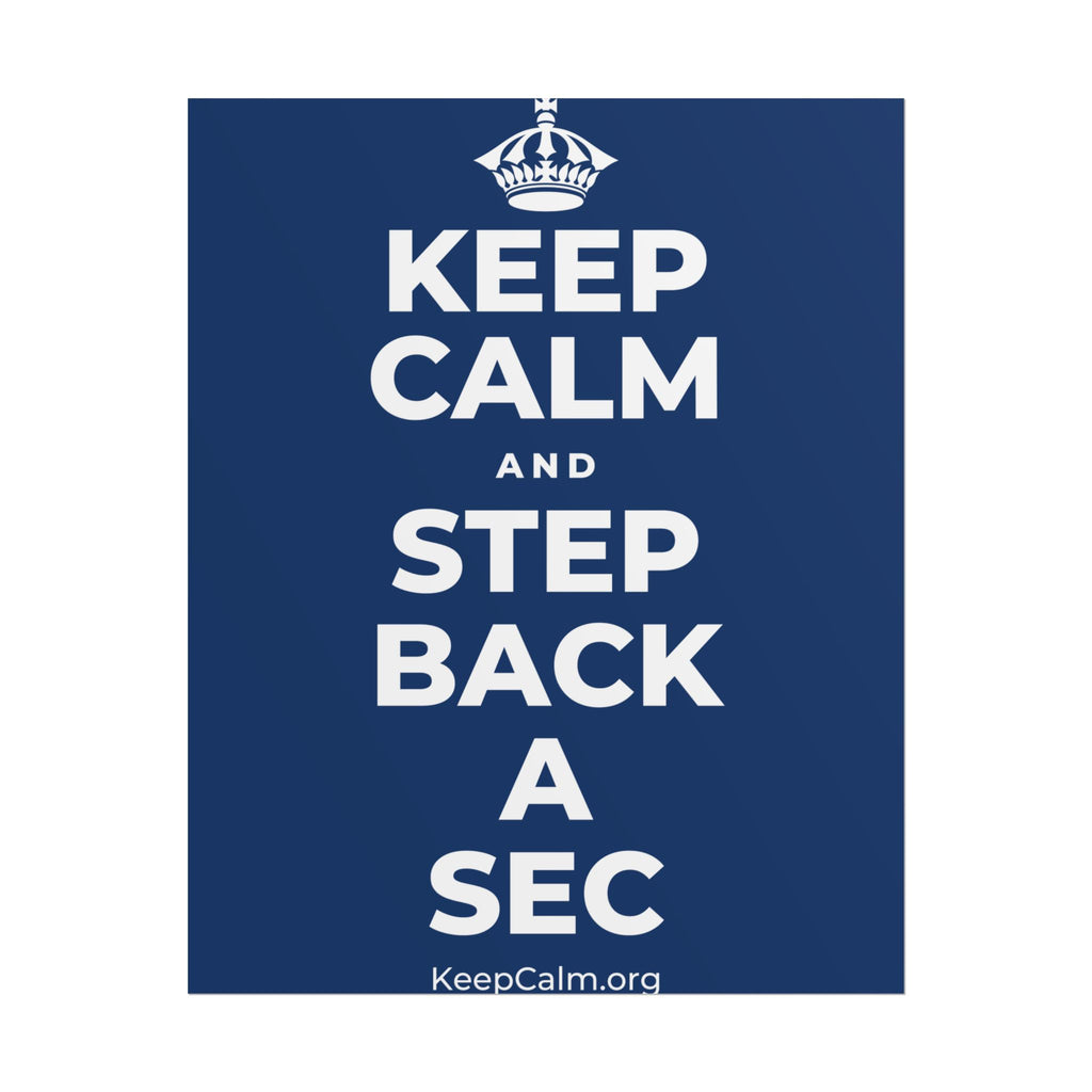 KEEP CALM AND STEP BACK A SEC Poster
