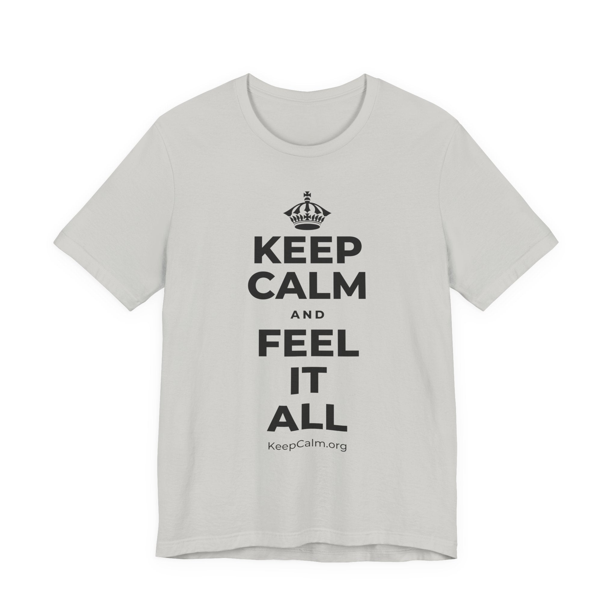 KEEP CALM AND FEEL IT ALL T-Shirt (Baby Blue–Silver)