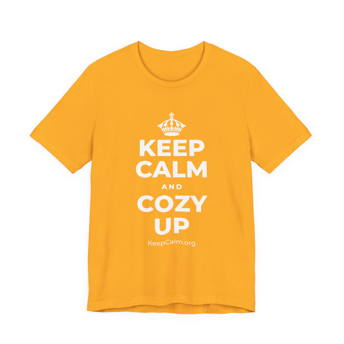 KEEP CALM AND COZY UP T-Shirt (Baby Blue–Silver)