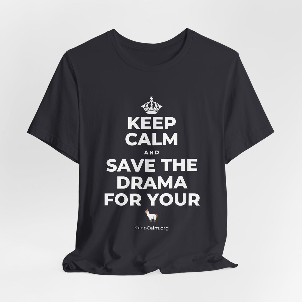 KEEP CALM AND SAVE THE DRAMA FOR YOUR 🦙 T-Shirt (Baby Blue–Silver)