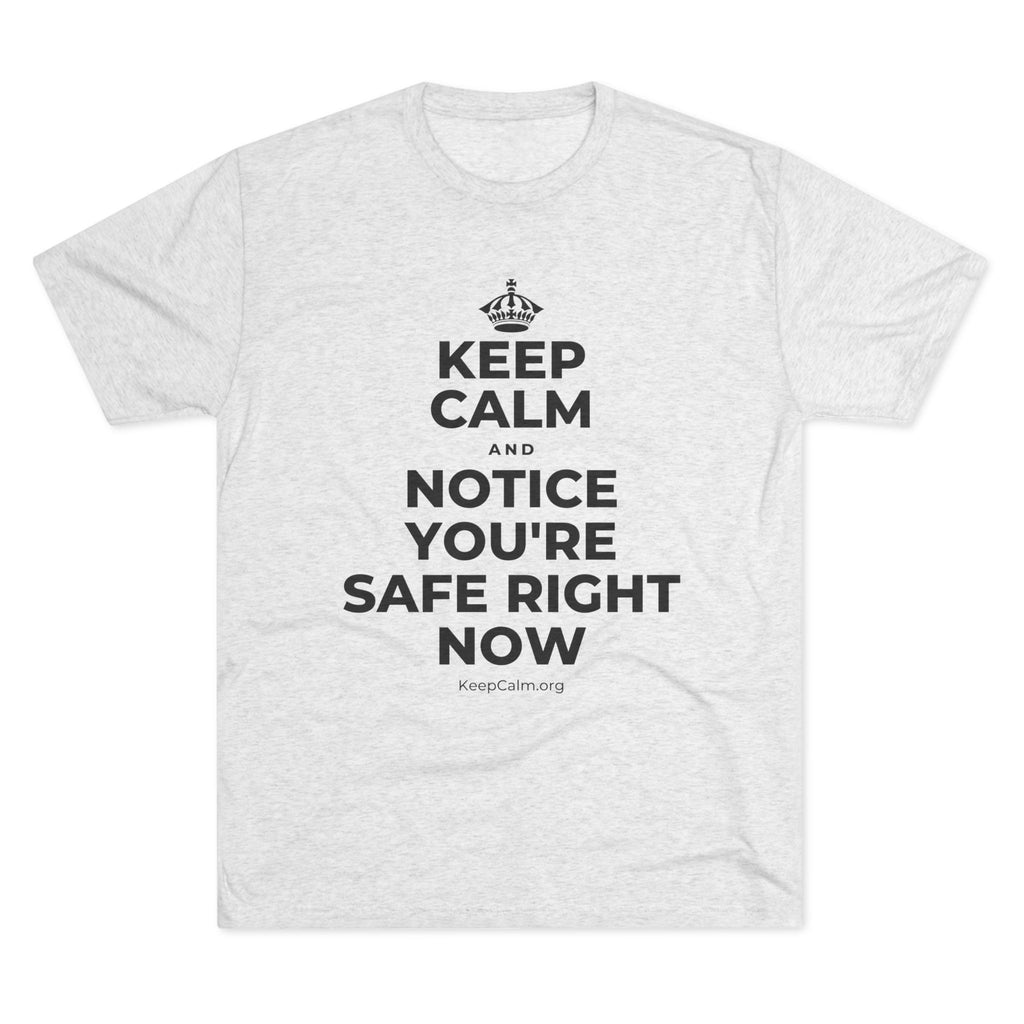 KEEP CALM AND NOTICE YOU'RE SAFE RIGHT NOW Tri-Blend Tee