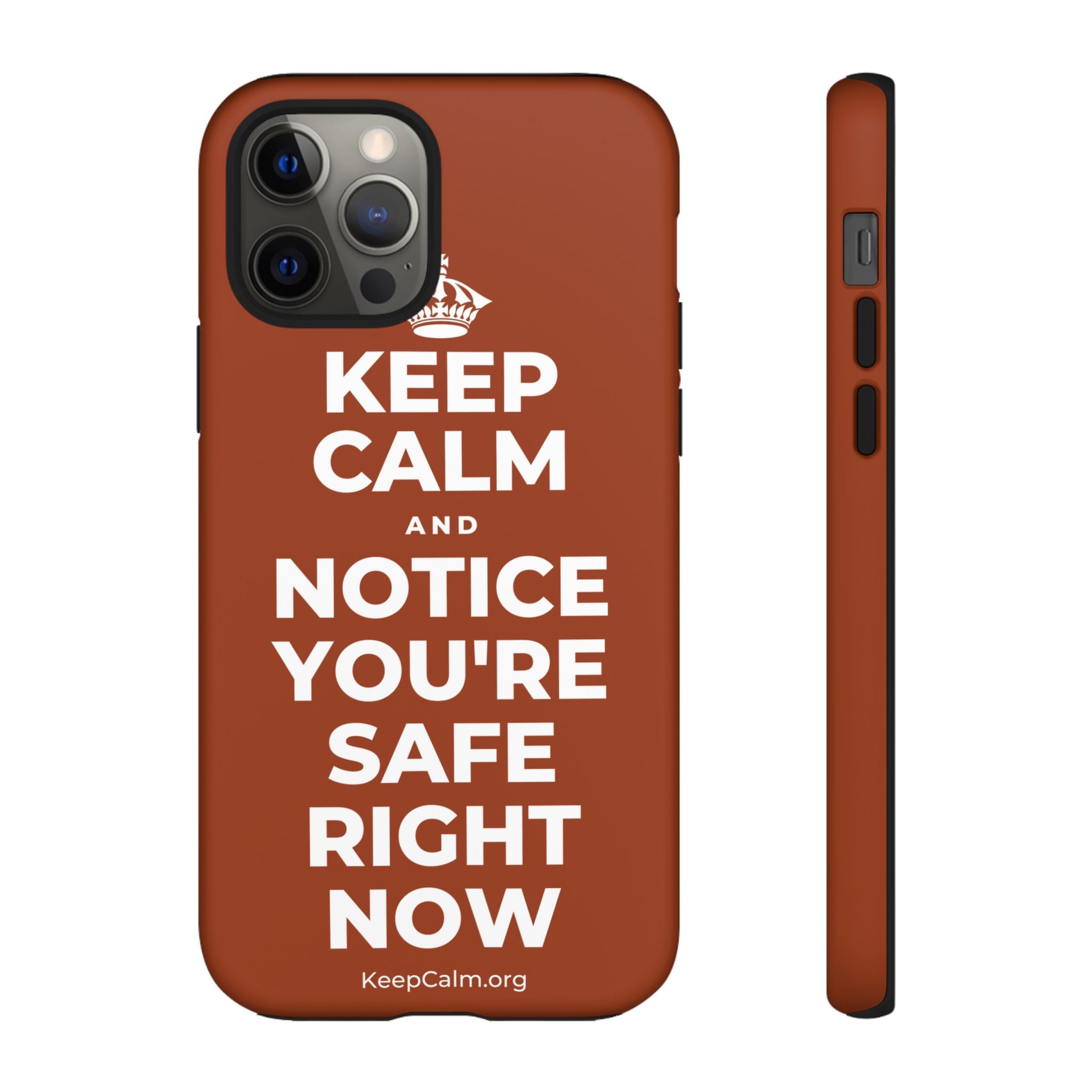 KEEP CALM AND NOTICE YOU'RE SAFE RIGHT NOW Phone Case