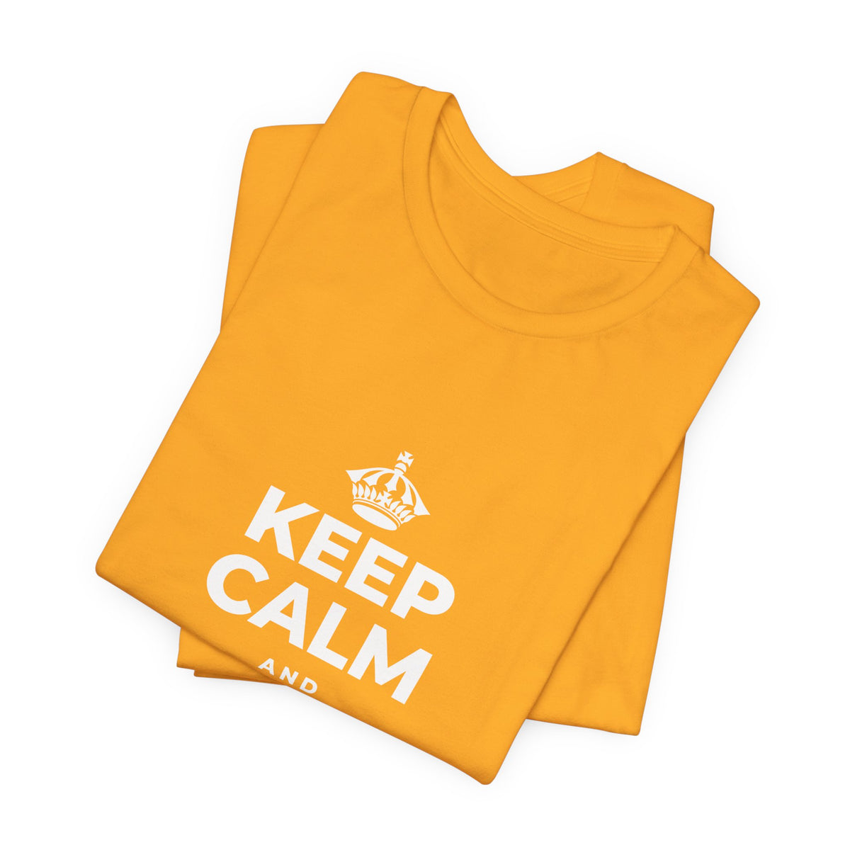 KEEP CALM AND MOVE FORWARD T-Shirt (Baby Blue–Silver)