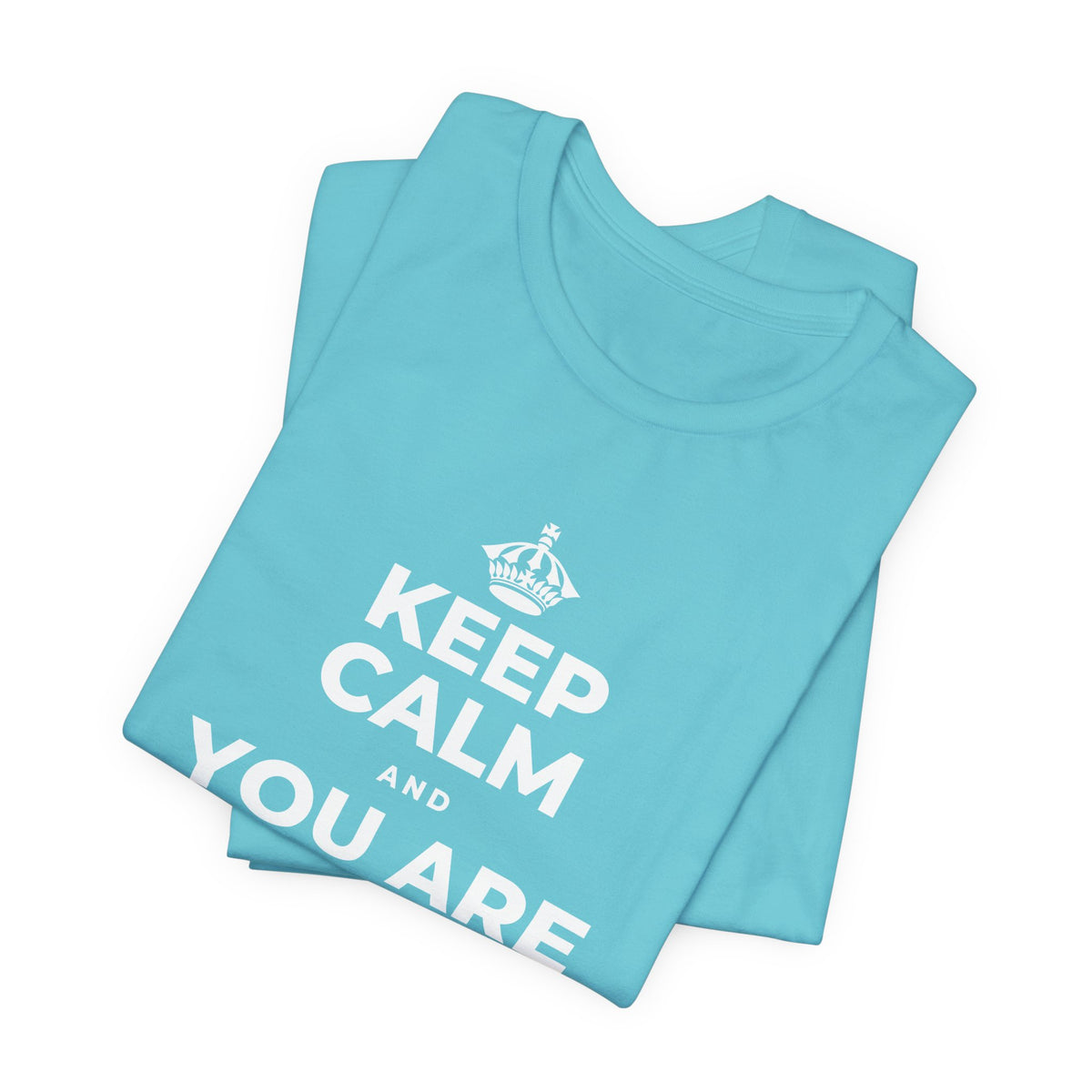 KEEP CALM AND YOU ARE DOING GREAT TODAY T-Shirt (Soft Cream–Heather Mauve)