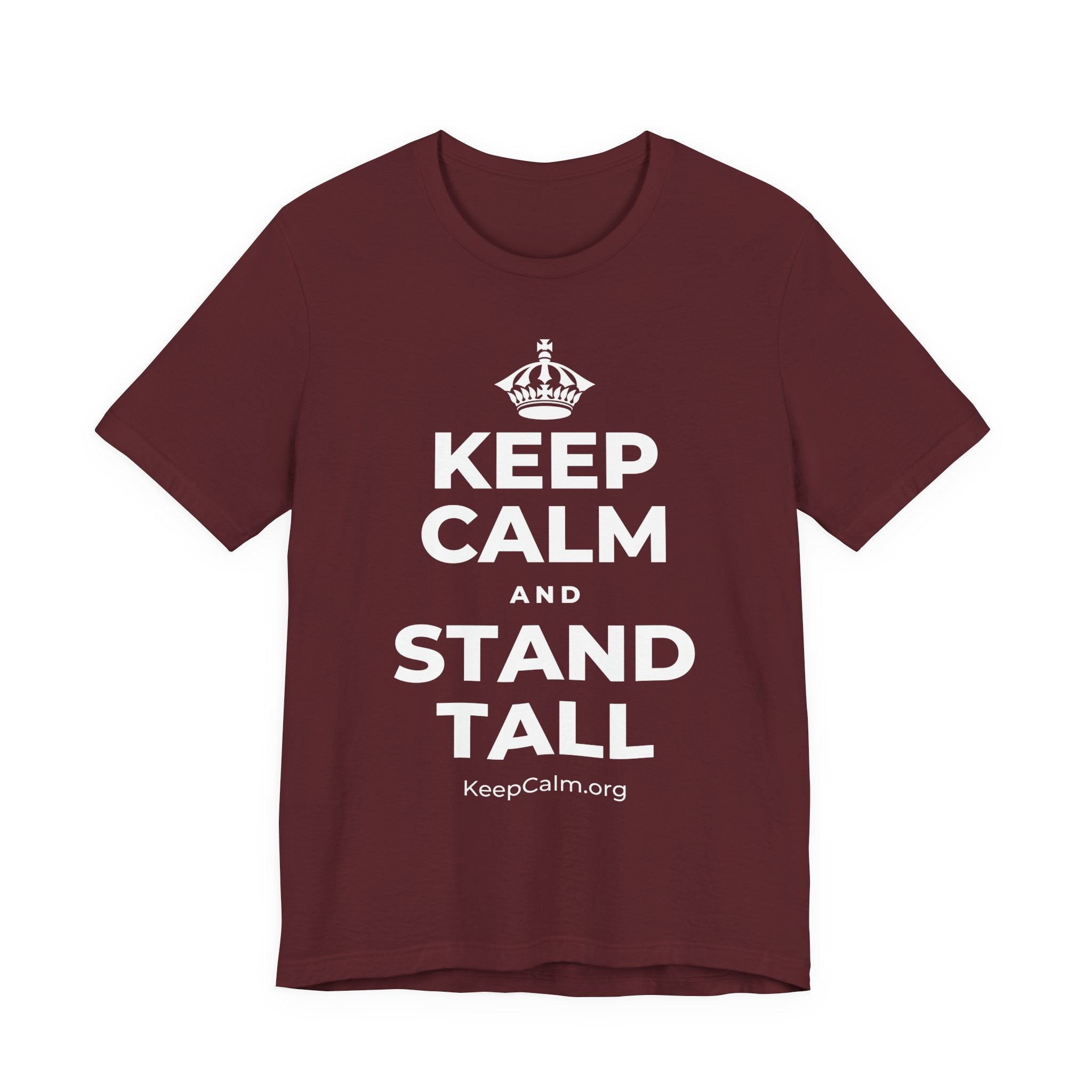 KEEP CALM AND STAND TALL T-Shirt (Baby Blue–Silver)