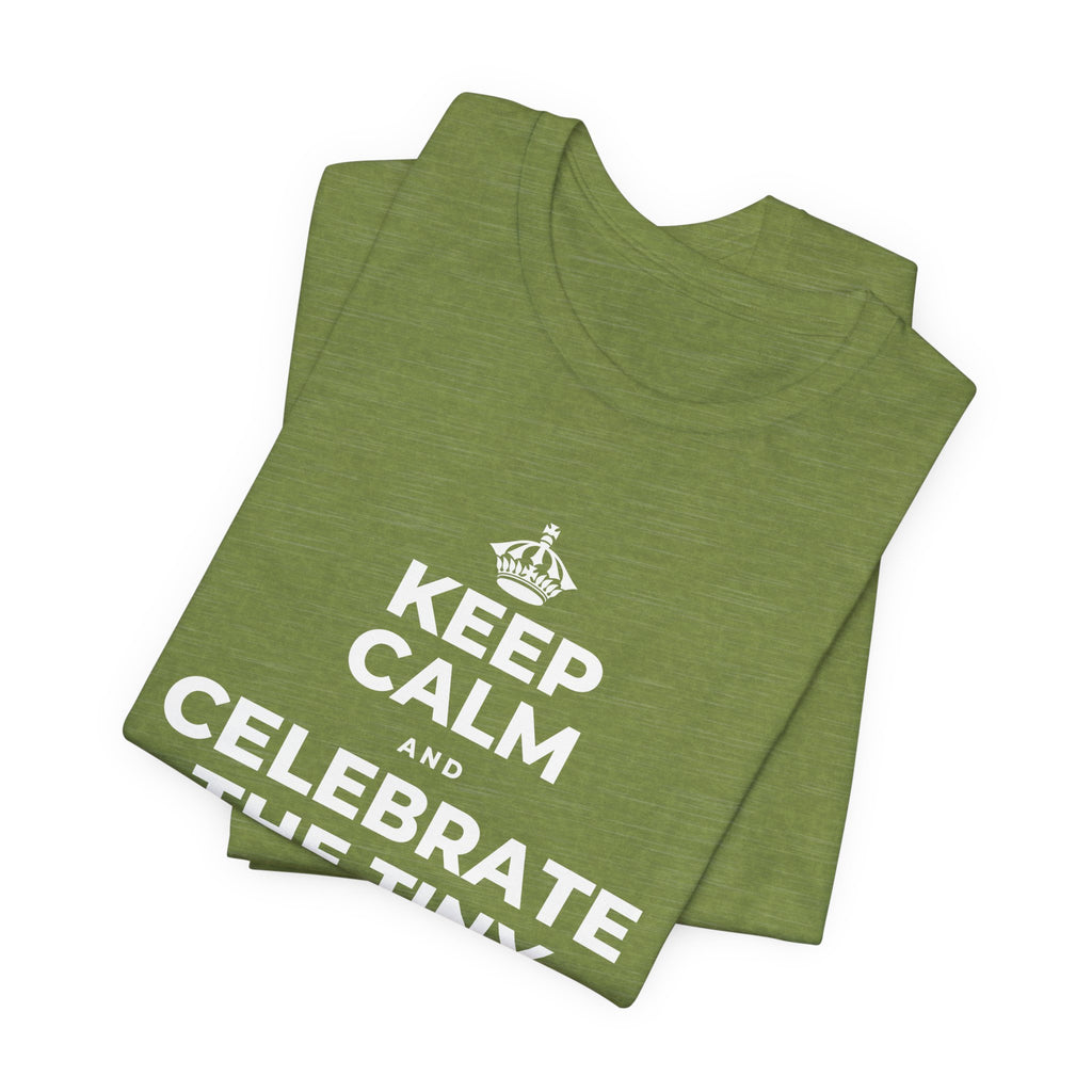 KEEP CALM AND CELEBRATE THE TINY VICTORIES EVERY SINGLE DAY T-Shirt (Baby Blue–Silver)