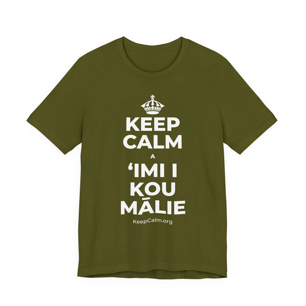 KEEP CALM A ʻIMI I KOU MĀLIE T-Shirt (Baby Blue–Silver)