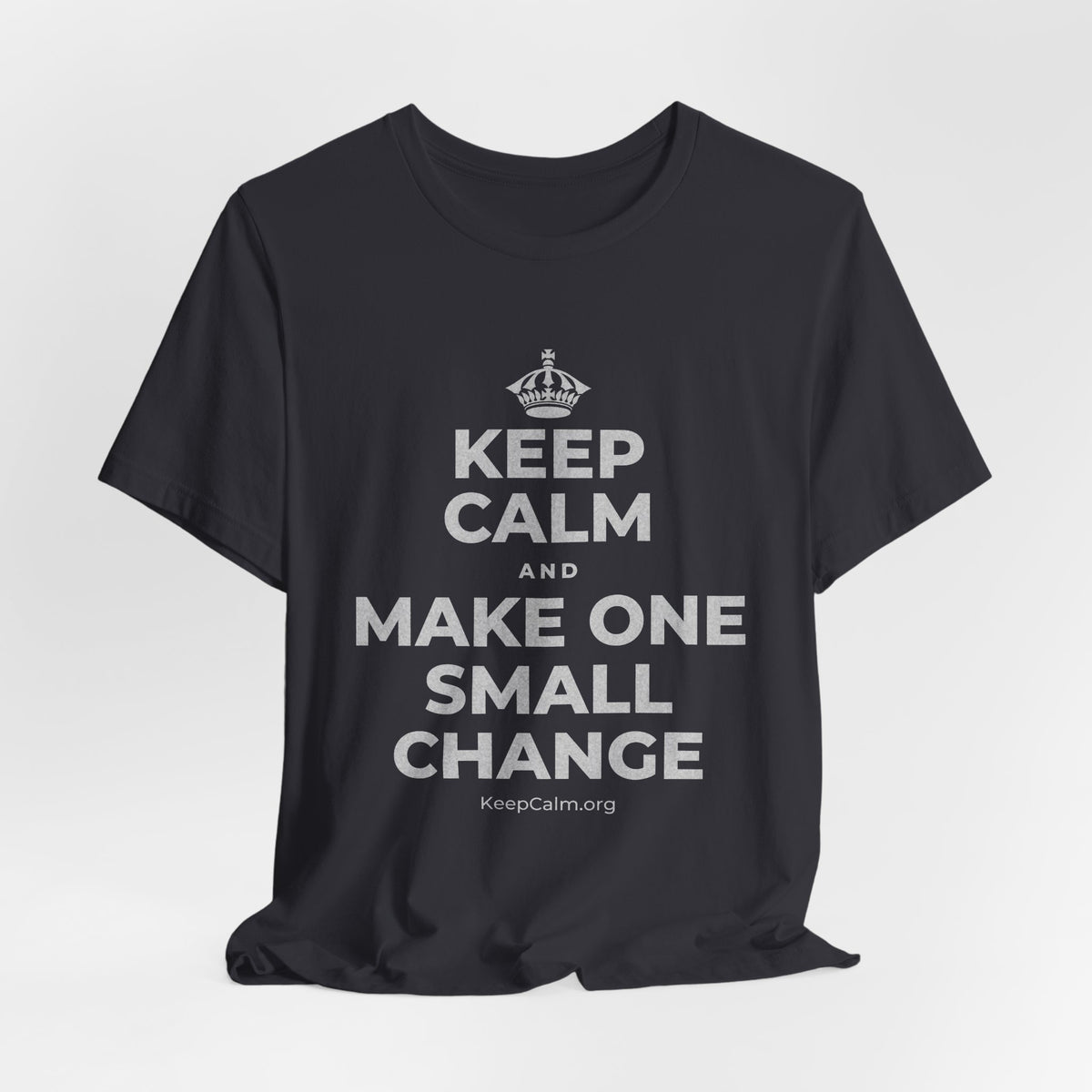 KEEP CALM AND MAKE ONE SMALL CHANGE T-Shirt (Baby Blue–Silver)