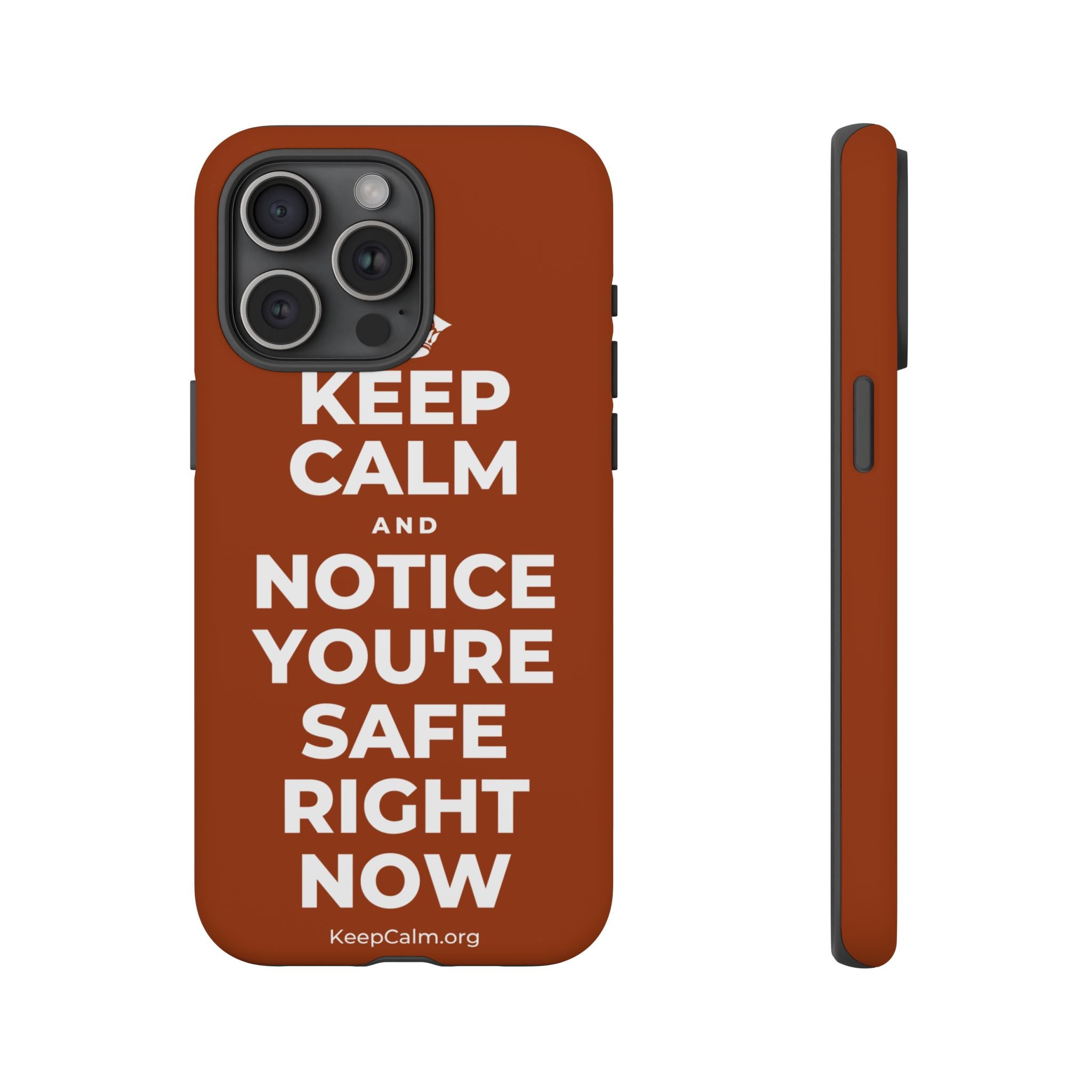 KEEP CALM AND NOTICE YOU'RE SAFE RIGHT NOW Phone Case