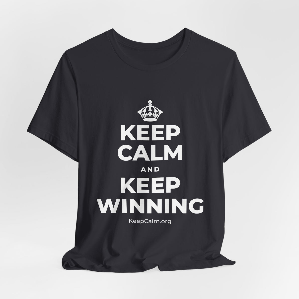 KEEP CALM AND KEEP WINNING T-Shirt (Baby Blue–Silver)