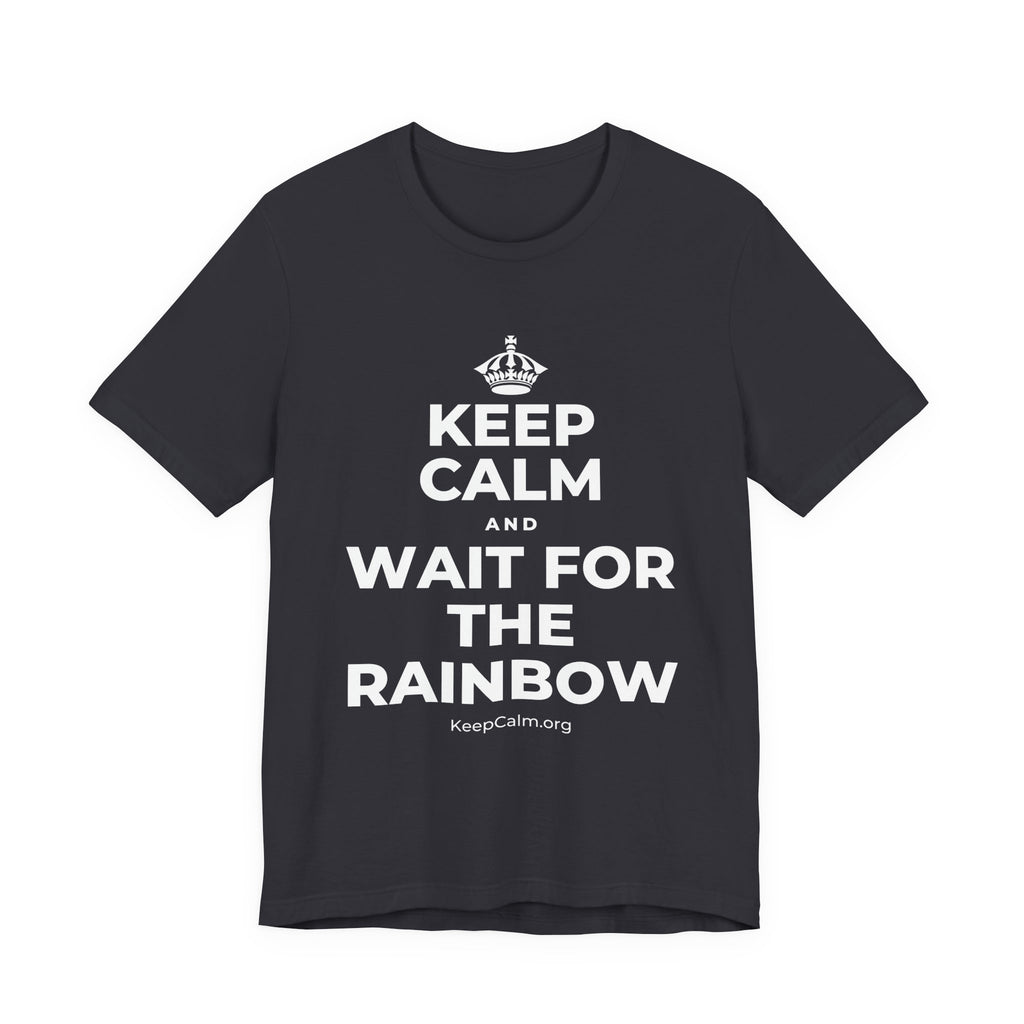 KEEP CALM AND WAIT FOR THE RAINBOW T-Shirt (Baby Blue–Silver)
