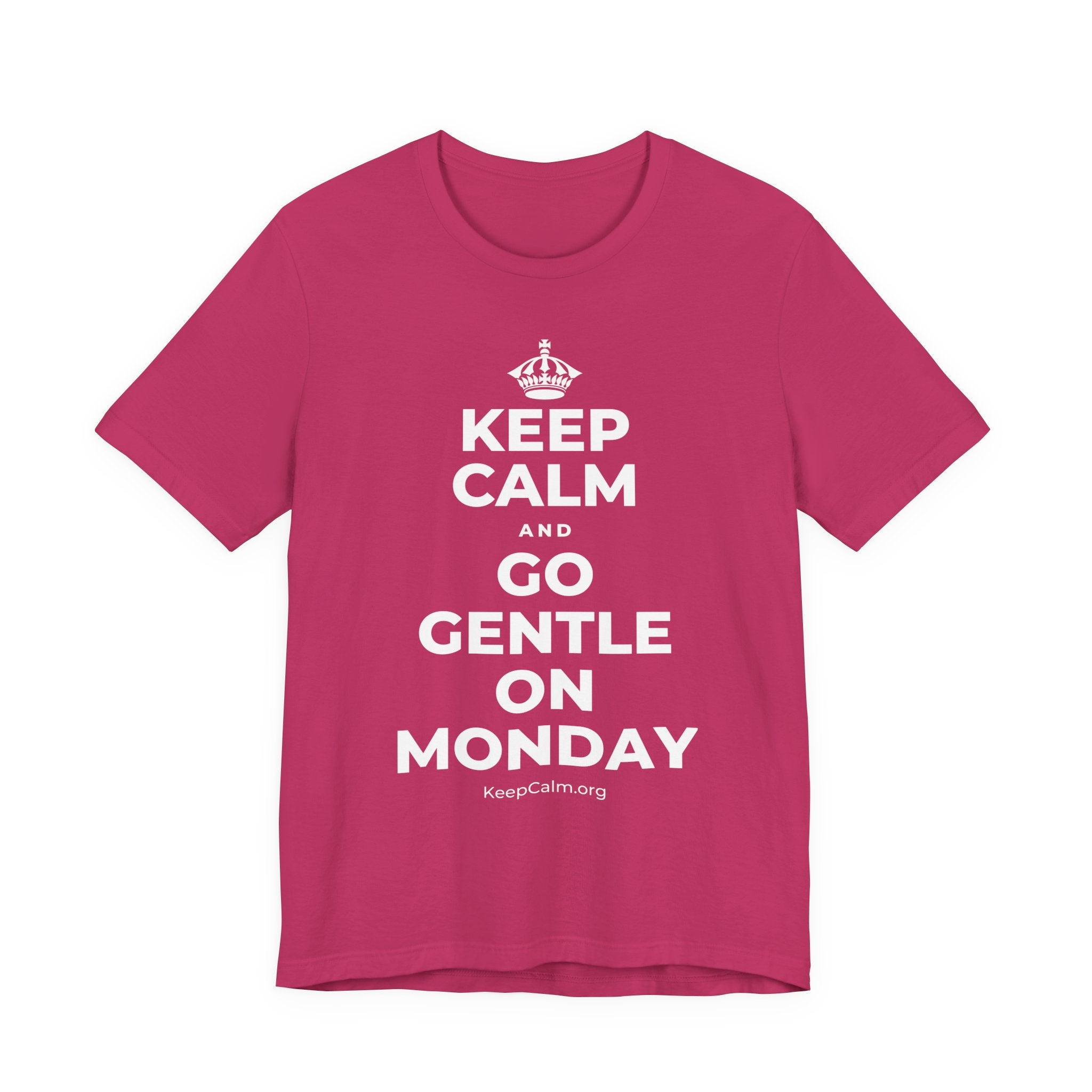 KEEP CALM AND GO GENTLE ON MONDAY T-Shirt (Baby Blue–Silver)
