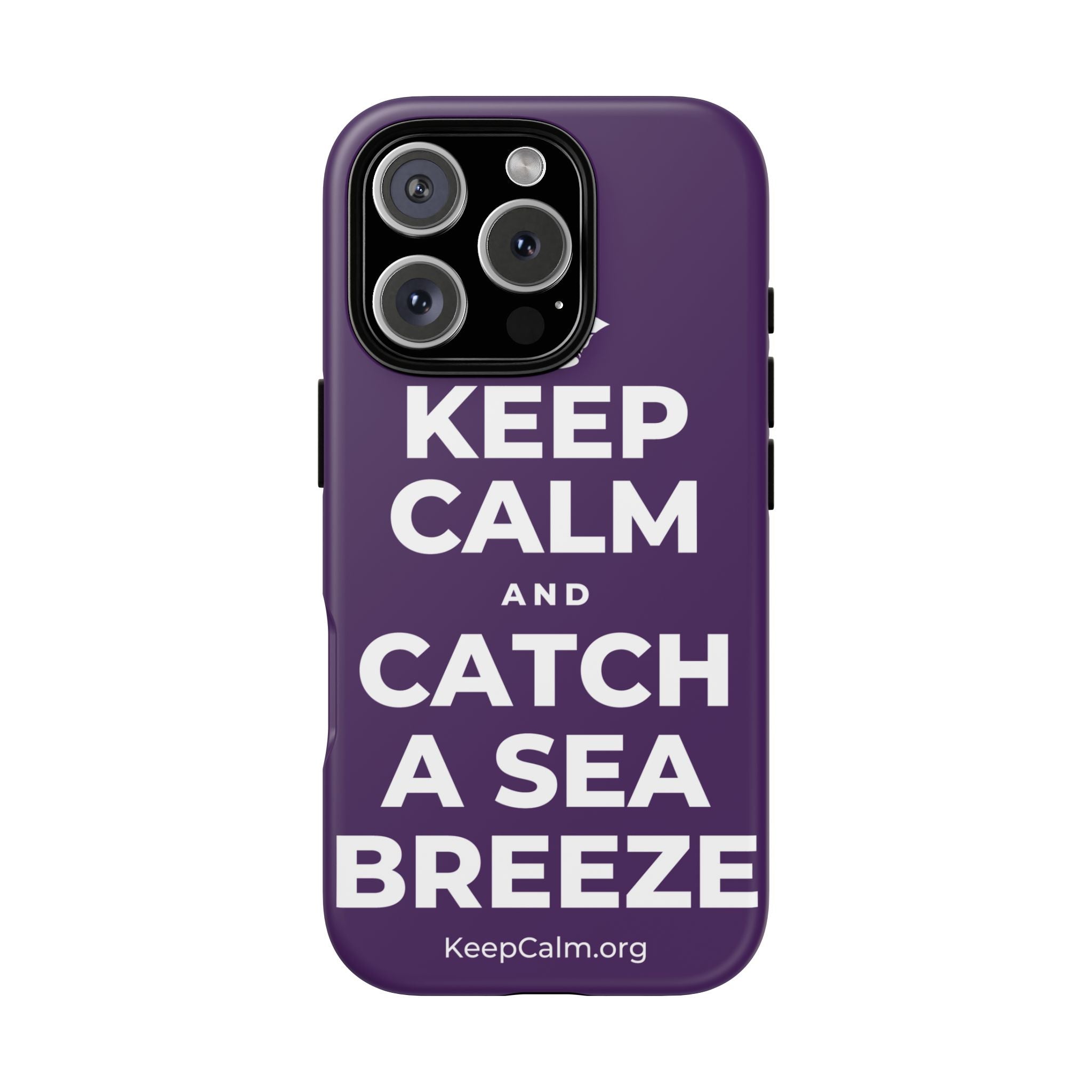KEEP CALM AND CATCH A SEA BREEZE Phone Case