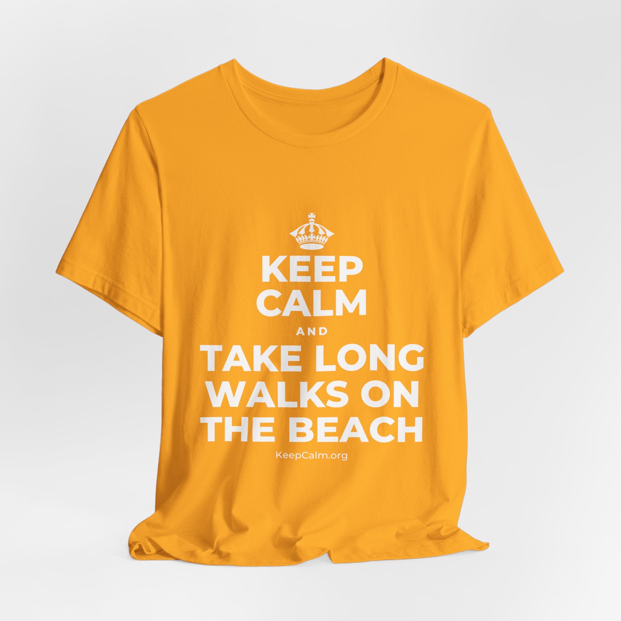 KEEP CALM AND TAKE LONG WALKS ON THE BEACH T-Shirt (Baby Blue–Silver)