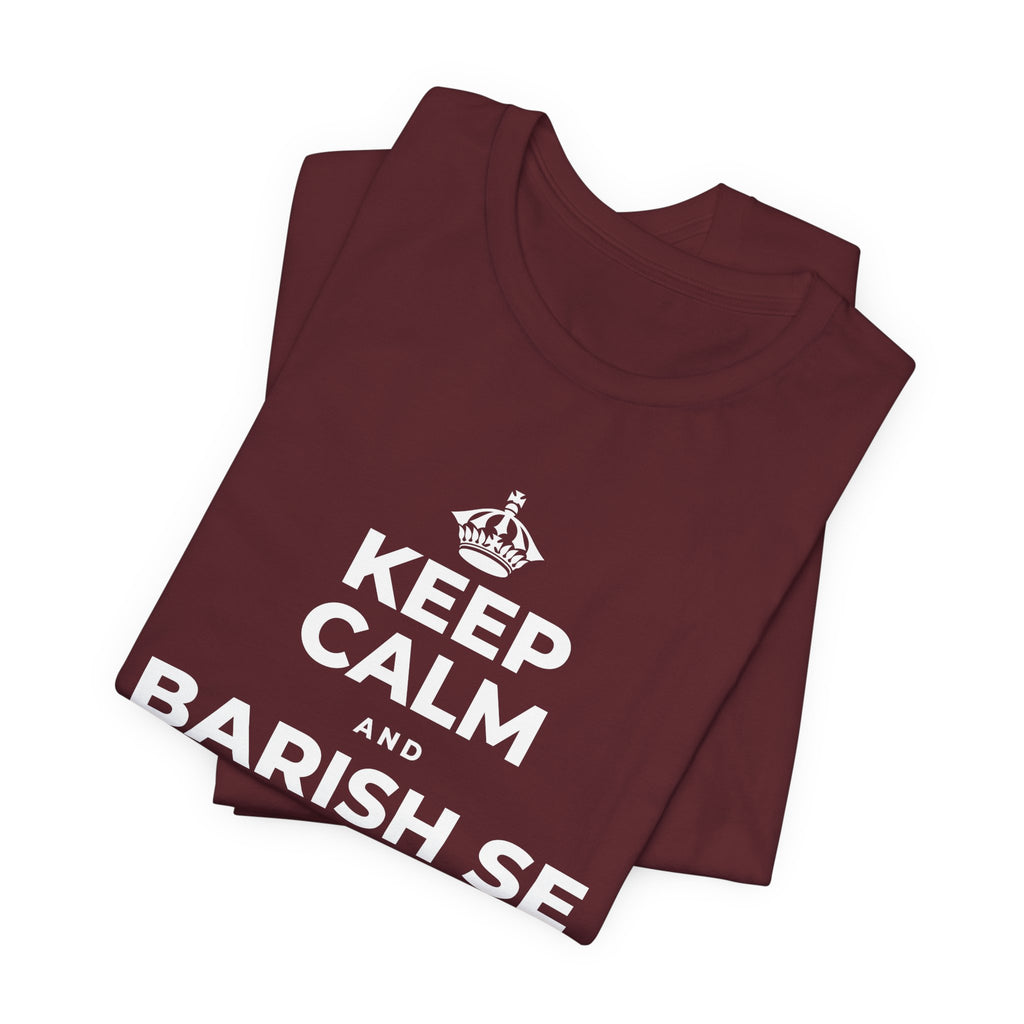 KEEP CALM AND BARISH SE CHEEZEIN BADHTI HAIN T-Shirt (Baby Blue–Silver)