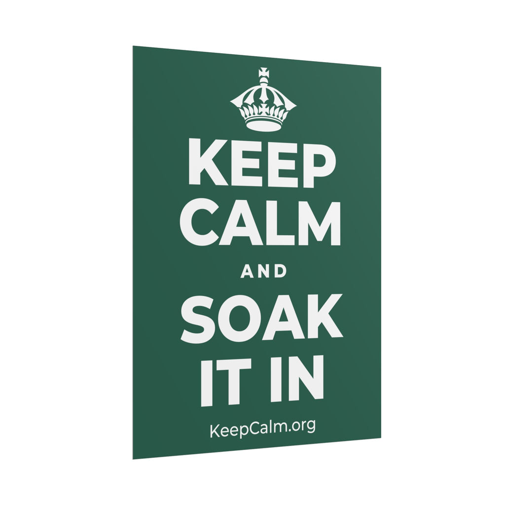 KEEP CALM AND SOAK IT IN Poster
