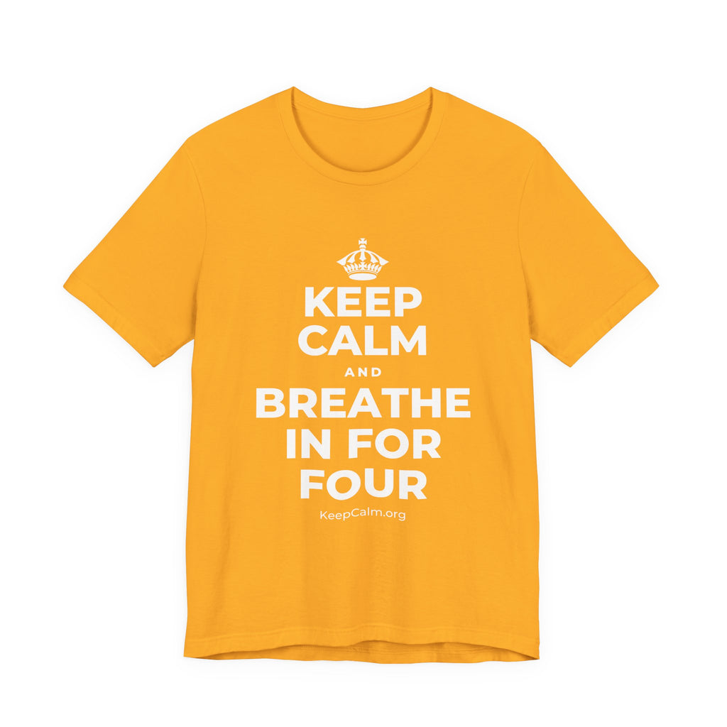 KEEP CALM AND BREATHE IN FOR FOUR T-Shirt (Baby Blue–Silver)