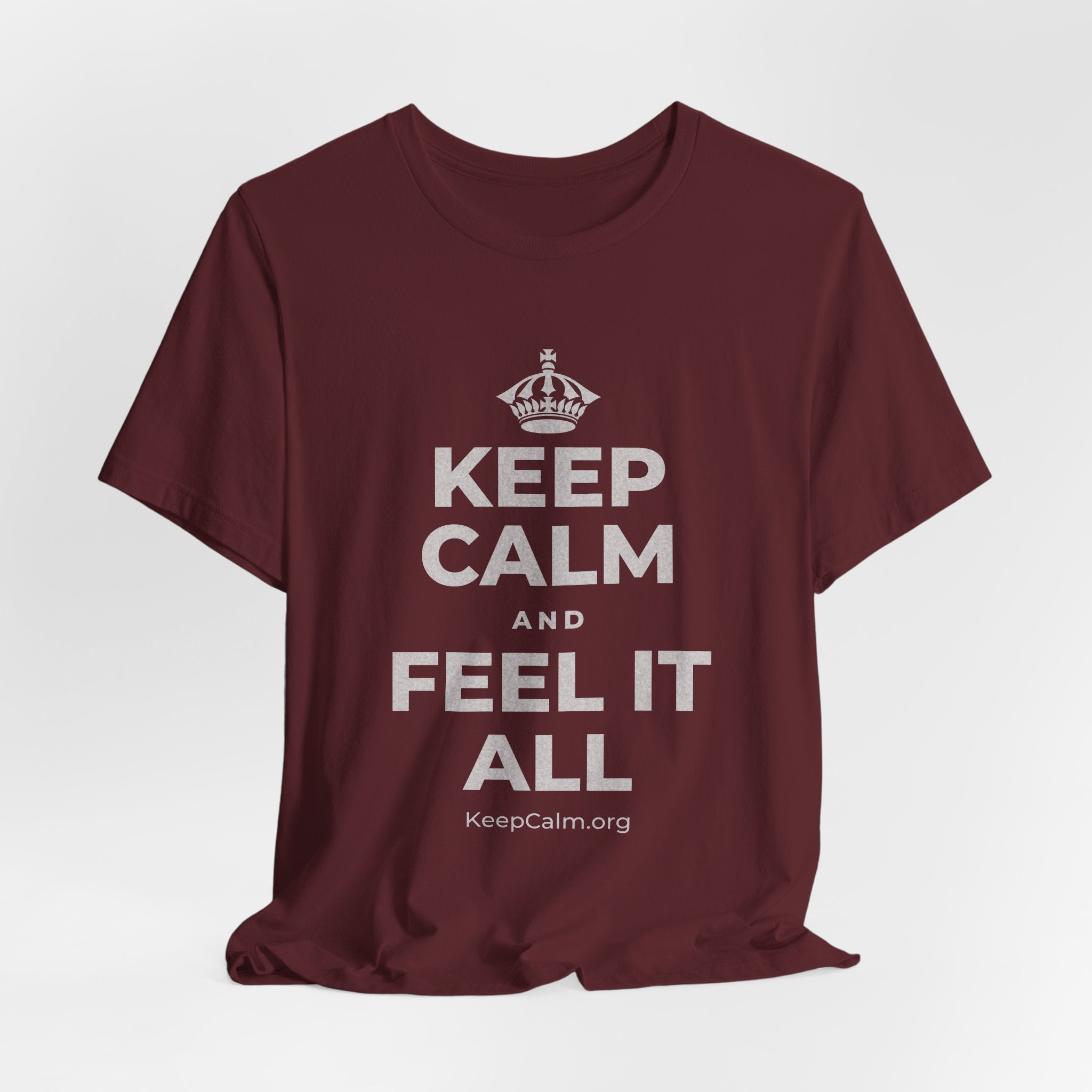 KEEP CALM AND FEEL IT ALL T-Shirt (Baby Blue–Silver)