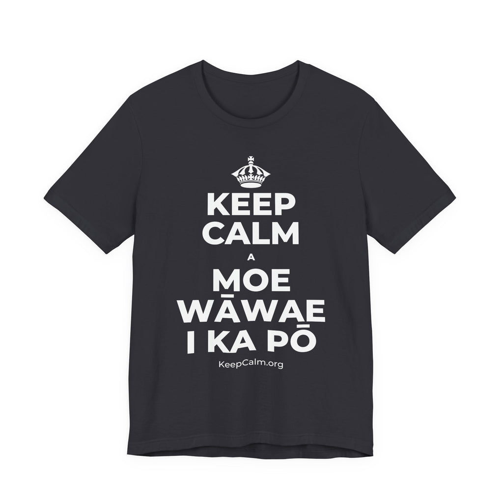 KEEP CALM A MOE WĀWAE I KA PŌ T-Shirt (Baby Blue–Silver)