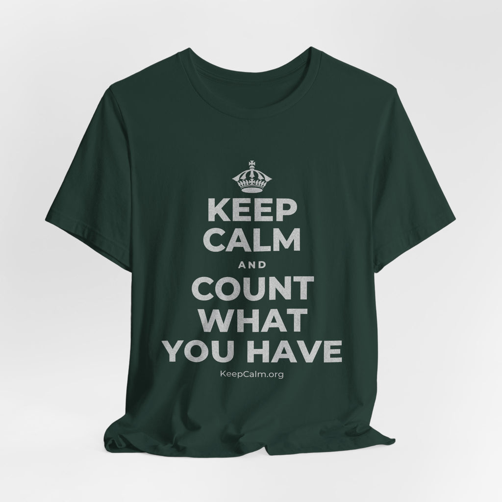 KEEP CALM AND COUNT WHAT YOU HAVE T-Shirt (White–Asphalt)
