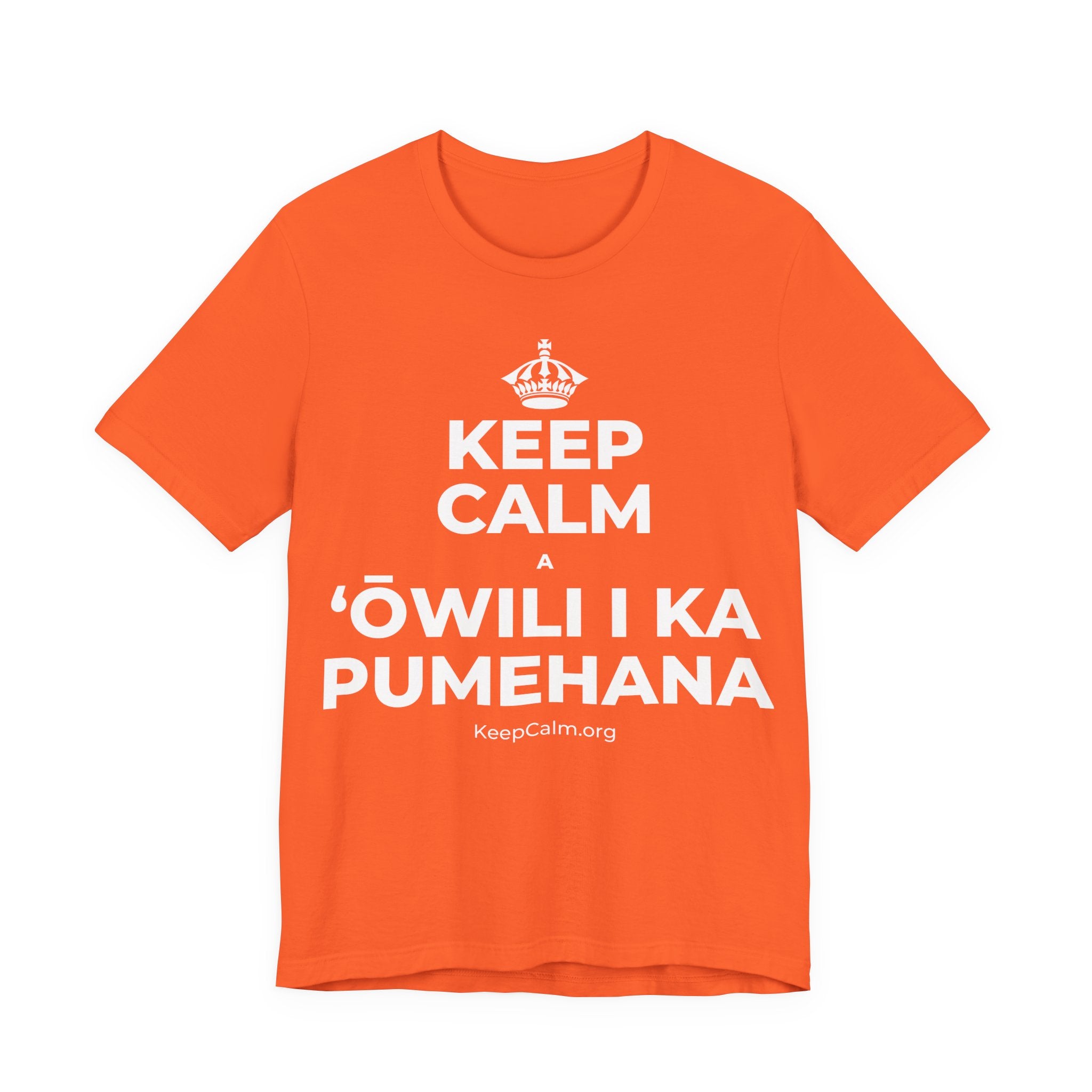 KEEP CALM A ʻŌWILI I KA PUMEHANA T-Shirt (Baby Blue–Silver)