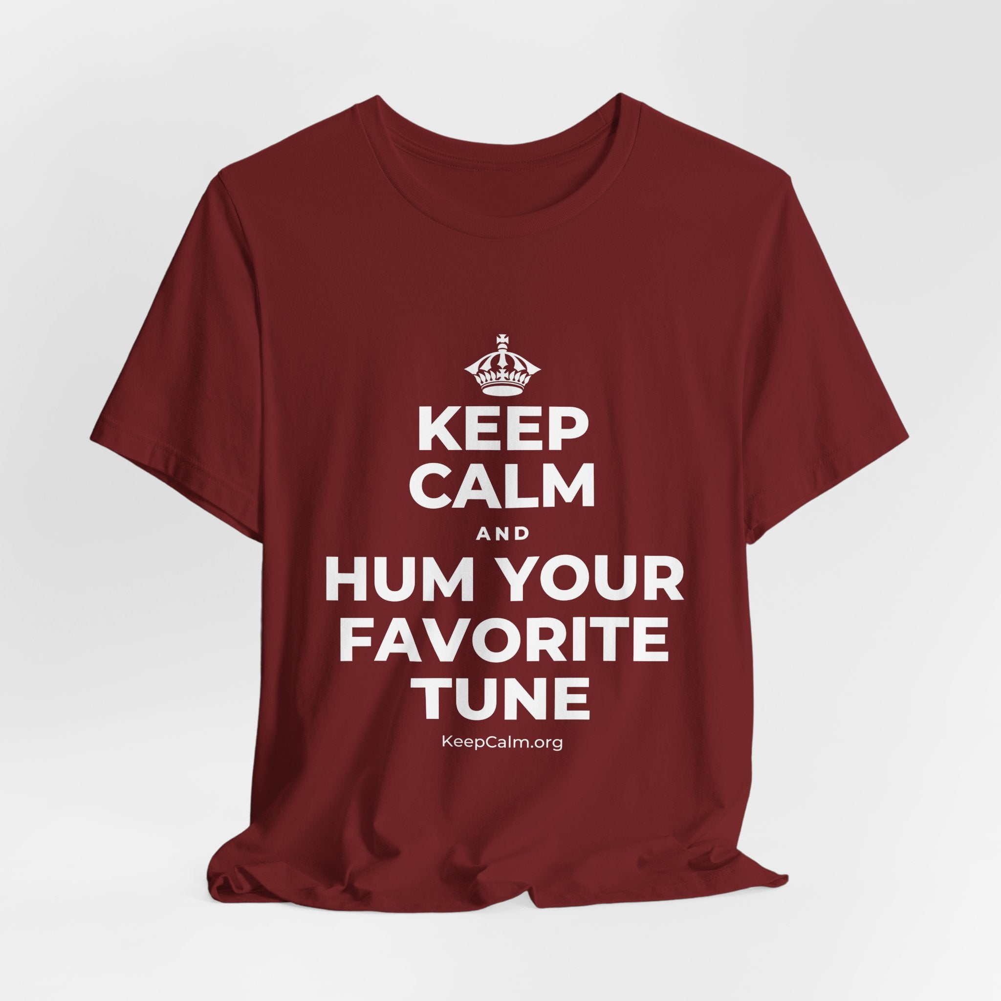 KEEP CALM AND HUM YOUR FAVORITE TUNE T-Shirt (Baby Blue–Silver)