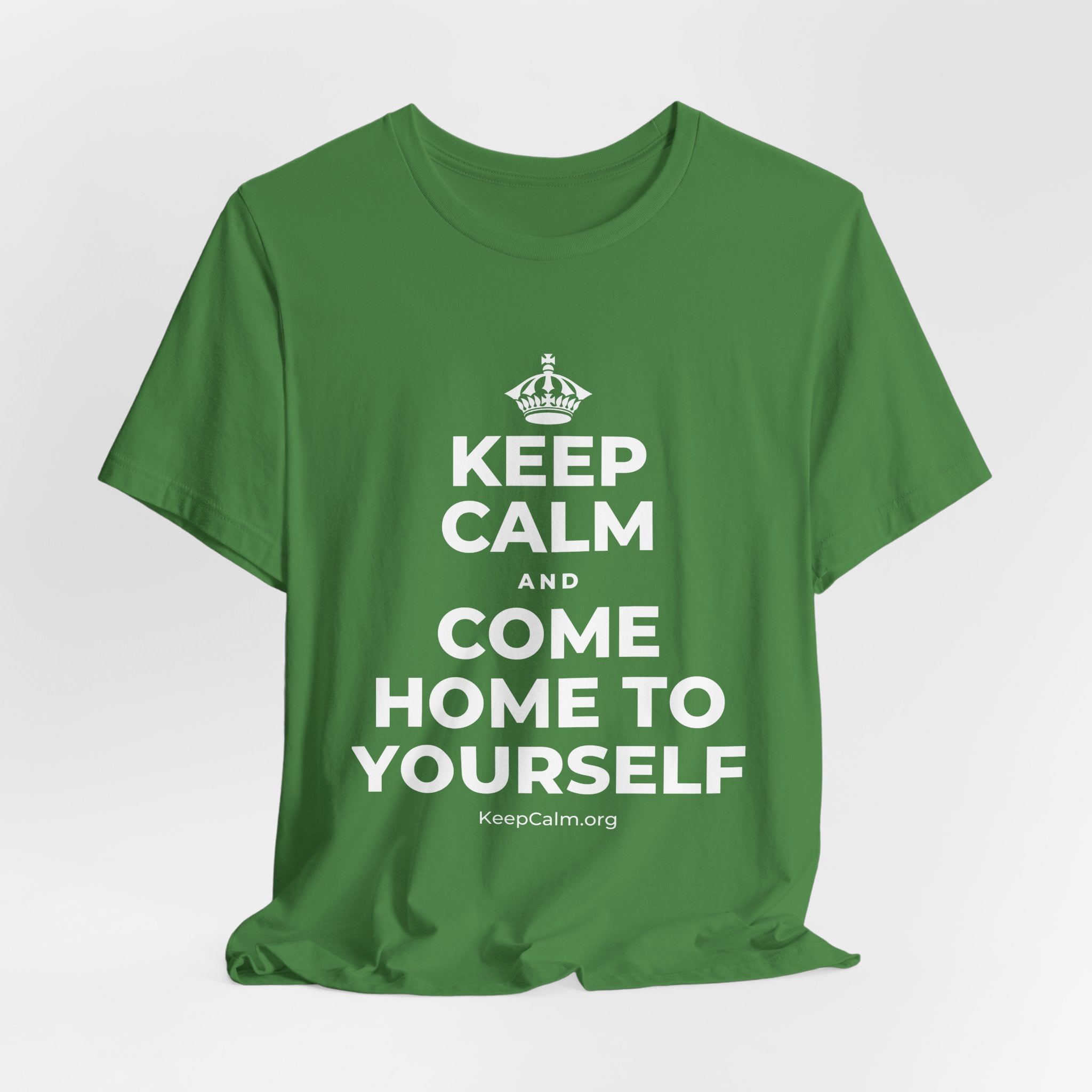 KEEP CALM AND COME HOME TO YOURSELF T-Shirt (Baby Blue–Silver)