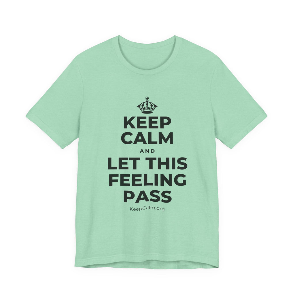 KEEP CALM AND LET THIS FEELING PASS T-Shirt (Baby Blue–Silver)