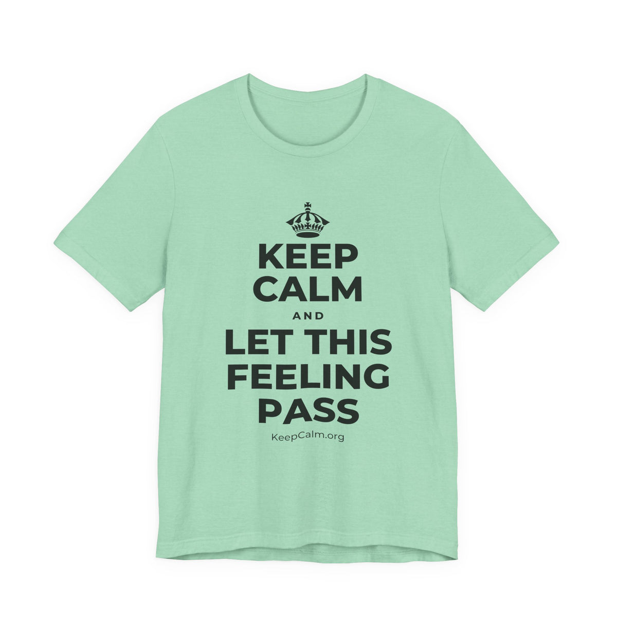 KEEP CALM AND LET THIS FEELING PASS T-Shirt (Baby Blue–Silver)