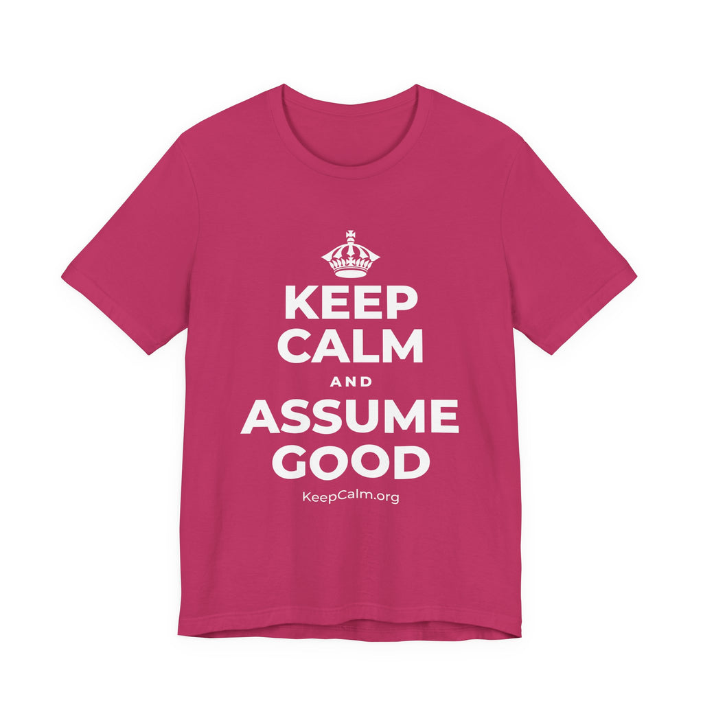 KEEP CALM AND ASSUME GOOD T-Shirt (Baby Blue–Silver)
