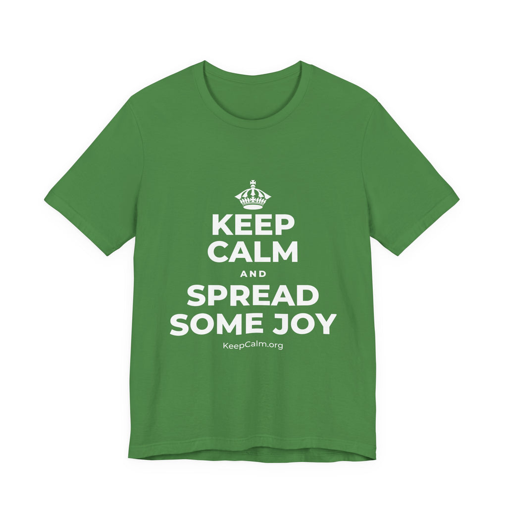 KEEP CALM AND SPREAD SOME JOY T-Shirt (Baby Blue–Silver)