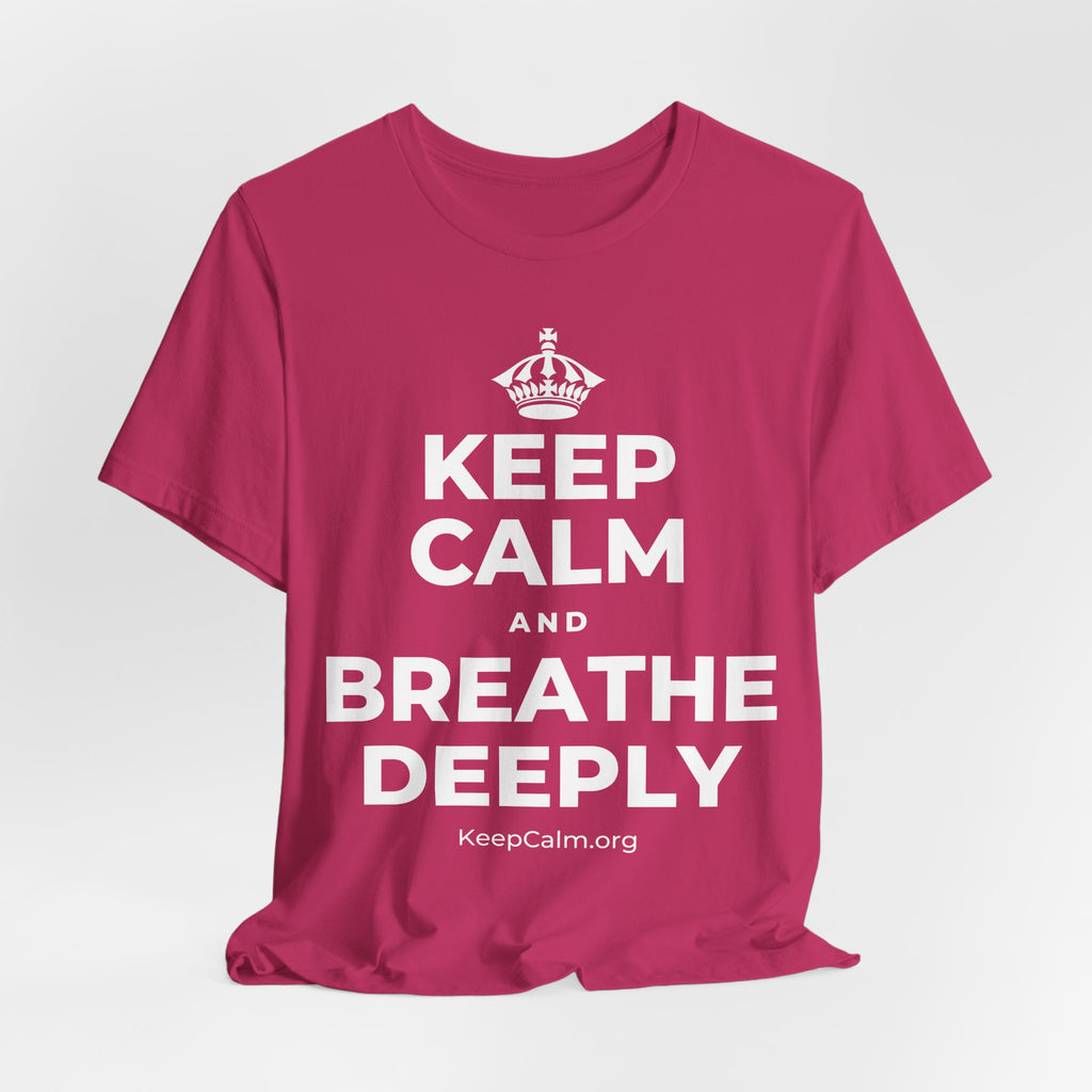KEEP CALM AND BREATHE DEEPLY T-Shirt (Baby Blue–Silver)