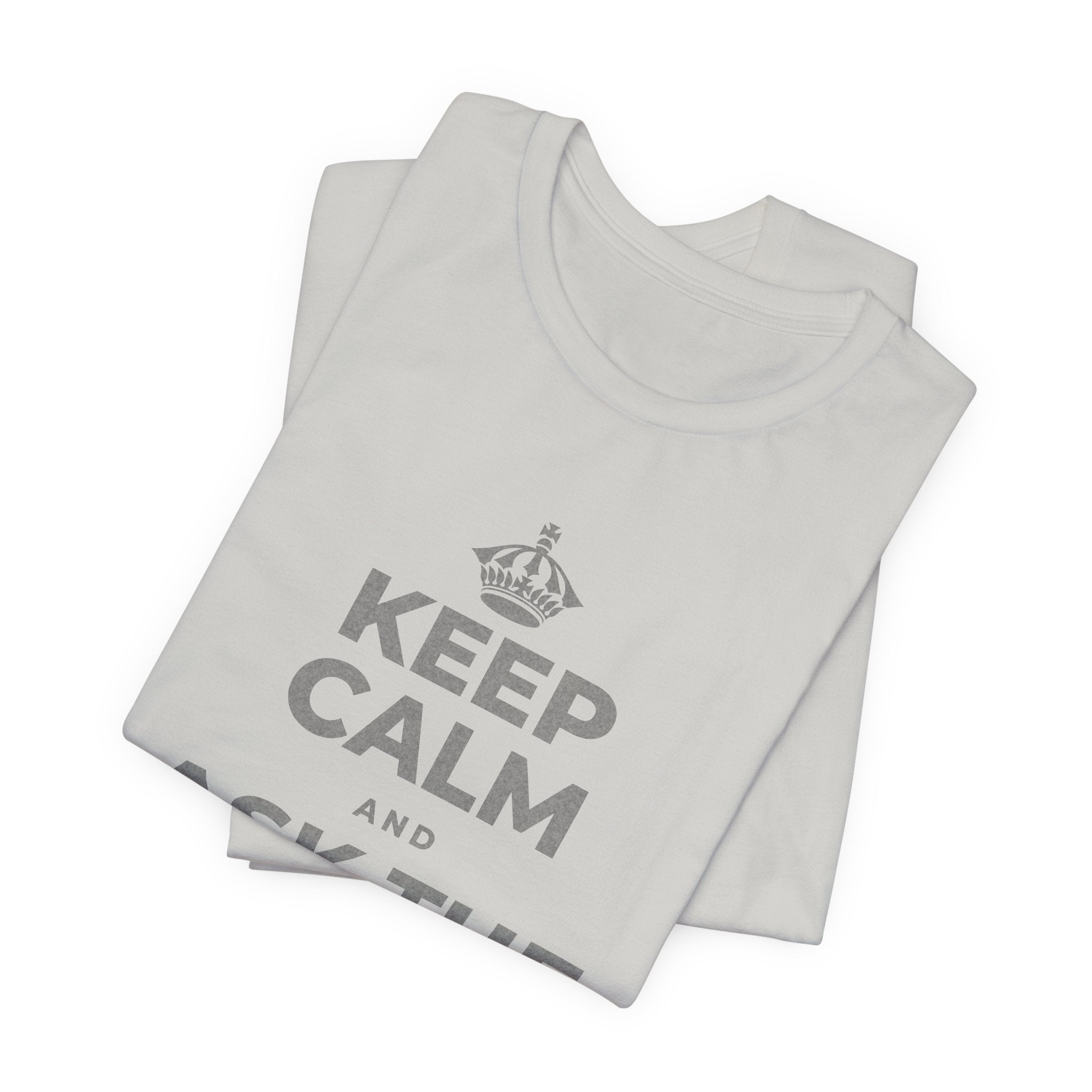 KEEP CALM AND ASK THE QUESTION T-Shirt (Baby Blue–Silver)