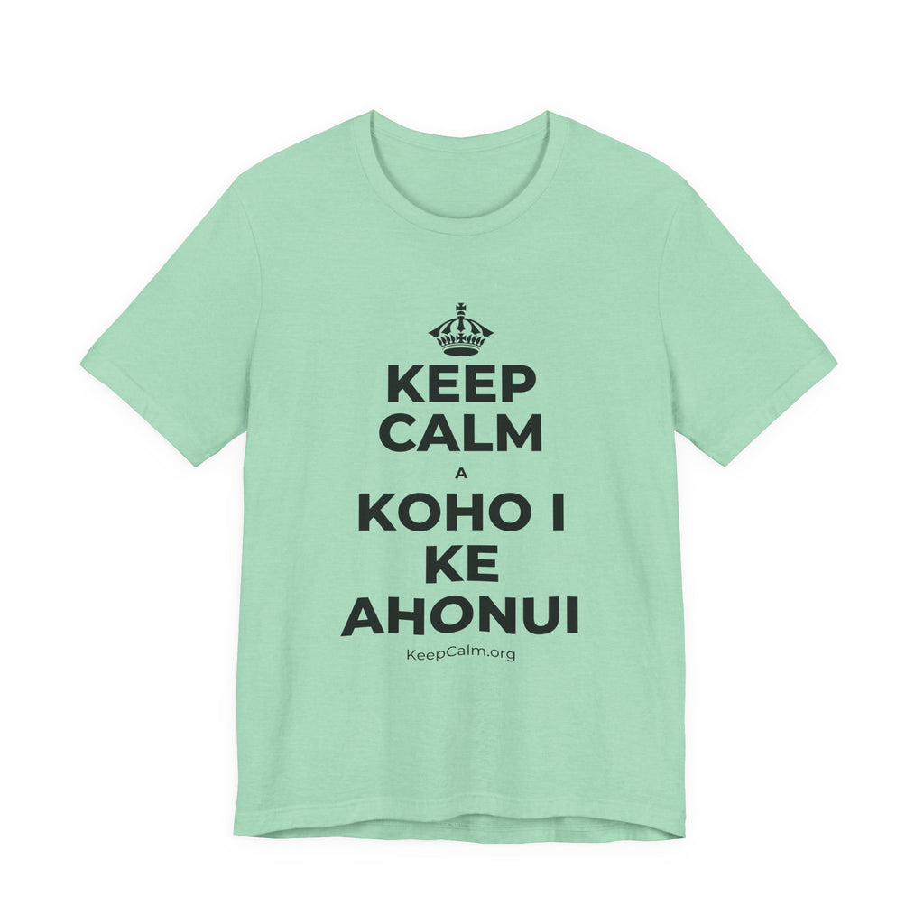 KEEP CALM A KOHO I KE AHONUI T-Shirt (Baby Blue–Silver)